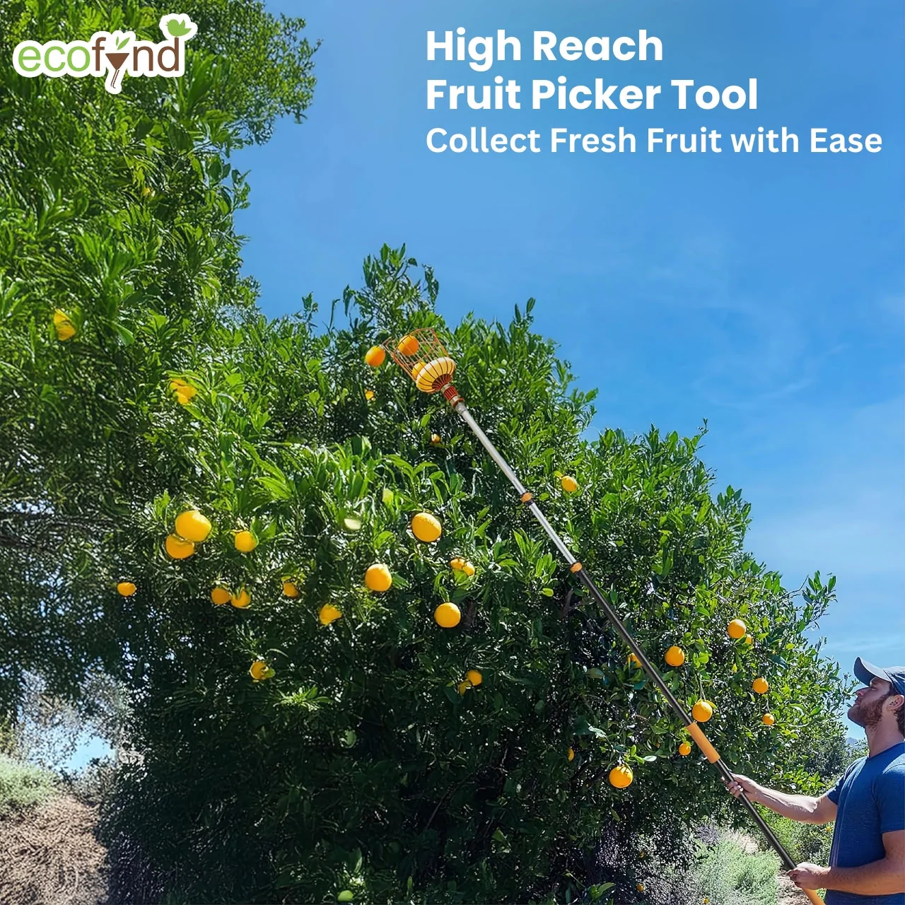 Fruit Picker Tool with Adjustable Pole Fixing Clamp - Image 7
