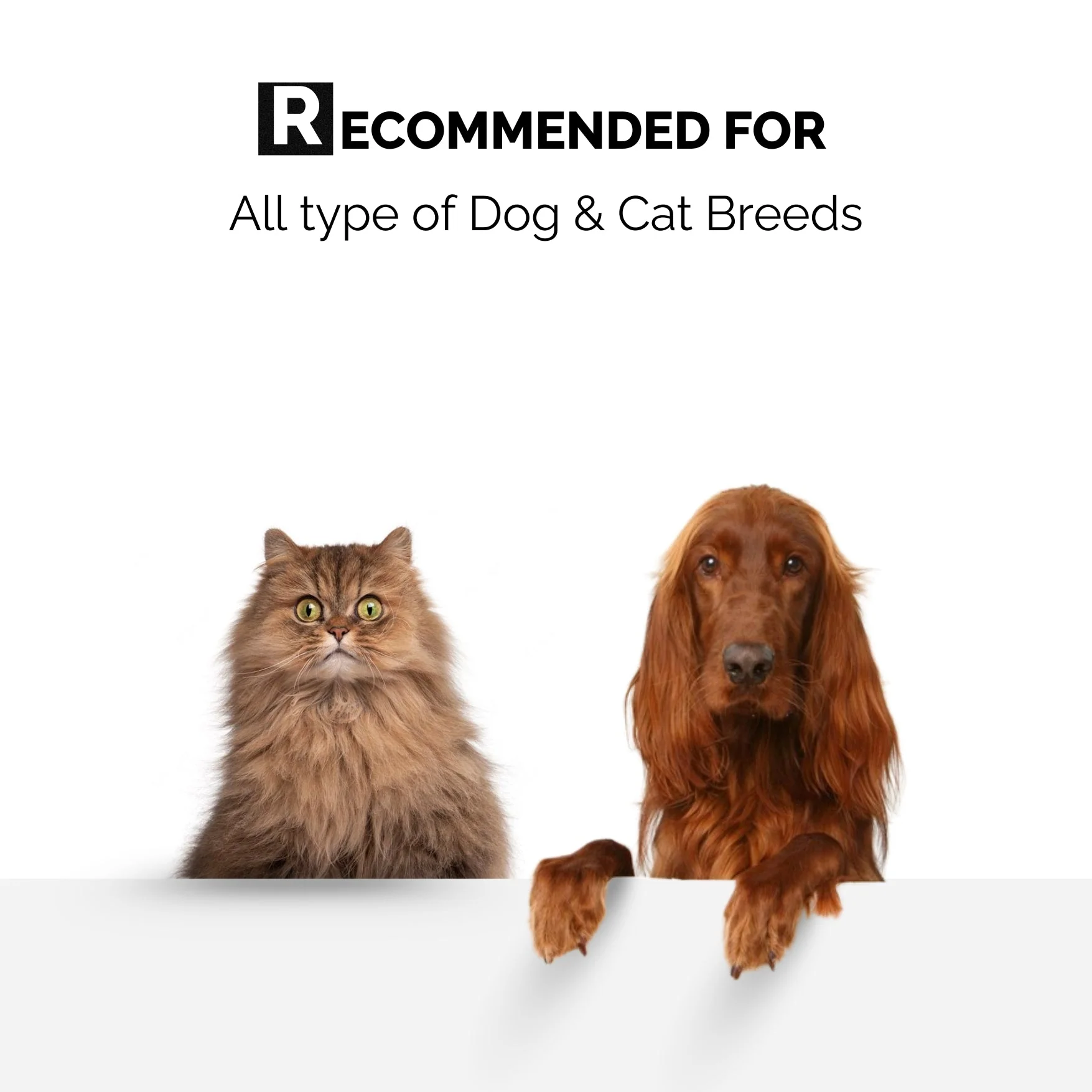 Fur Essential Kit - Image 4
