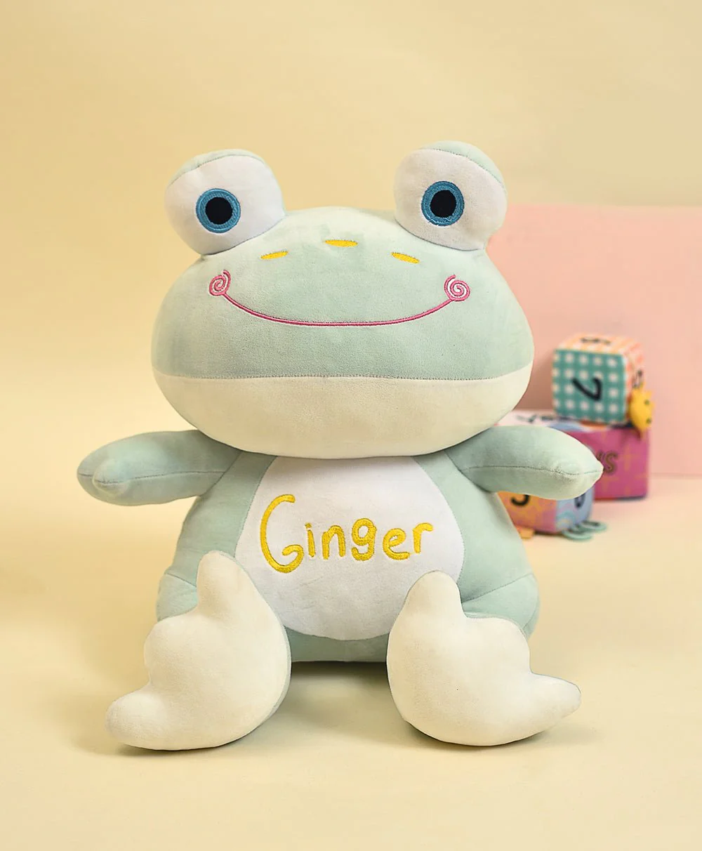 Ginger Cute Frog Soft Toys - Image 5