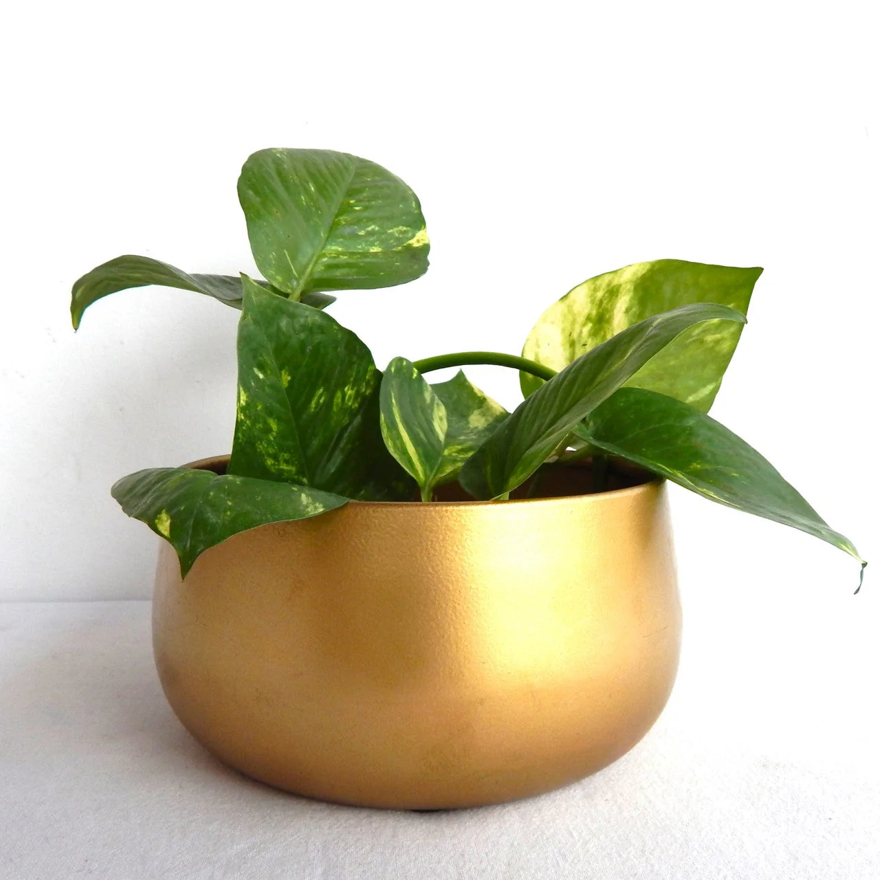 Gleam & Green: Zoe Gold Metal Pot by Ecofynd - Image 3