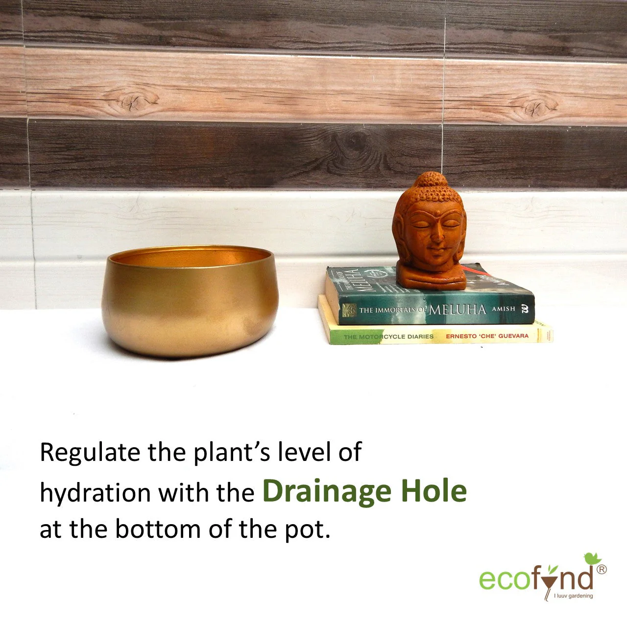 Gleam & Green: Zoe Gold Metal Pot by Ecofynd - Image 9