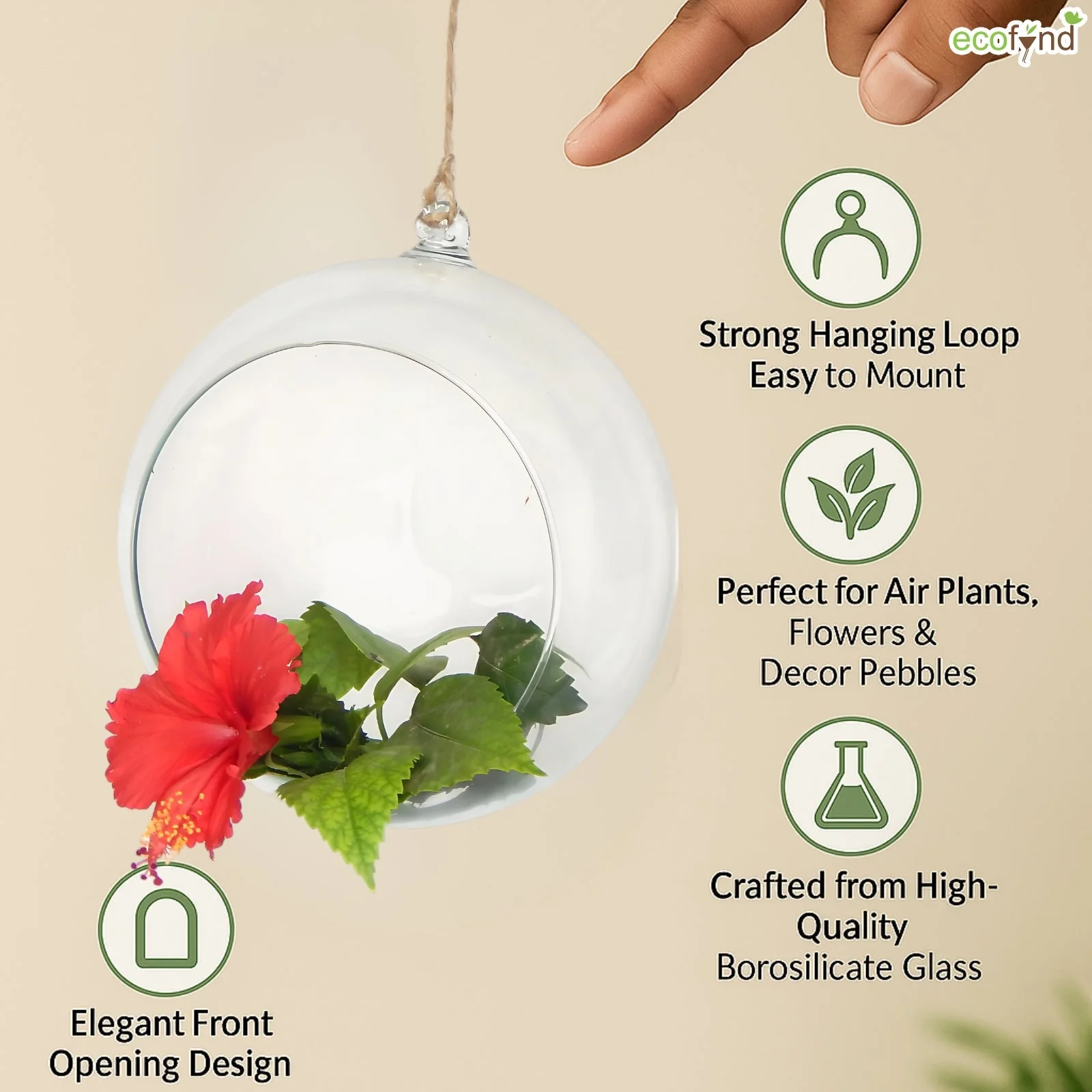 Hanging Glass Planter – Cut Sphere Design | Clear Transparent Glass, Small - Image 3