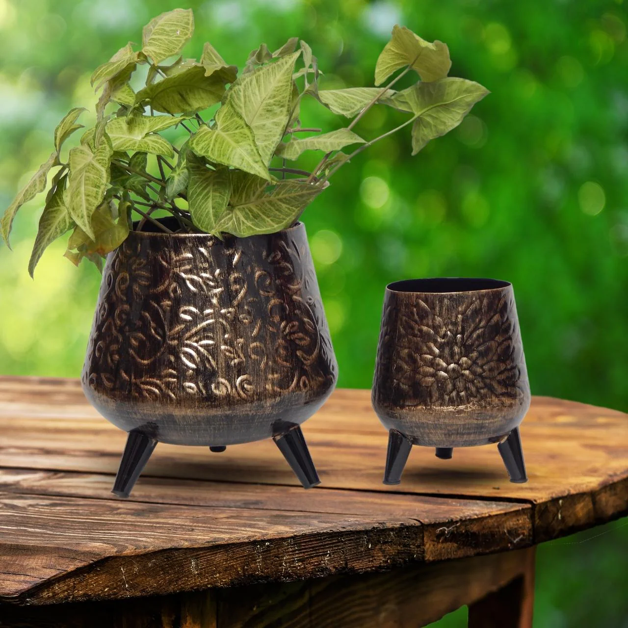 Hazel Iron Planter Stand Set – Indoor & Outdoor Décor