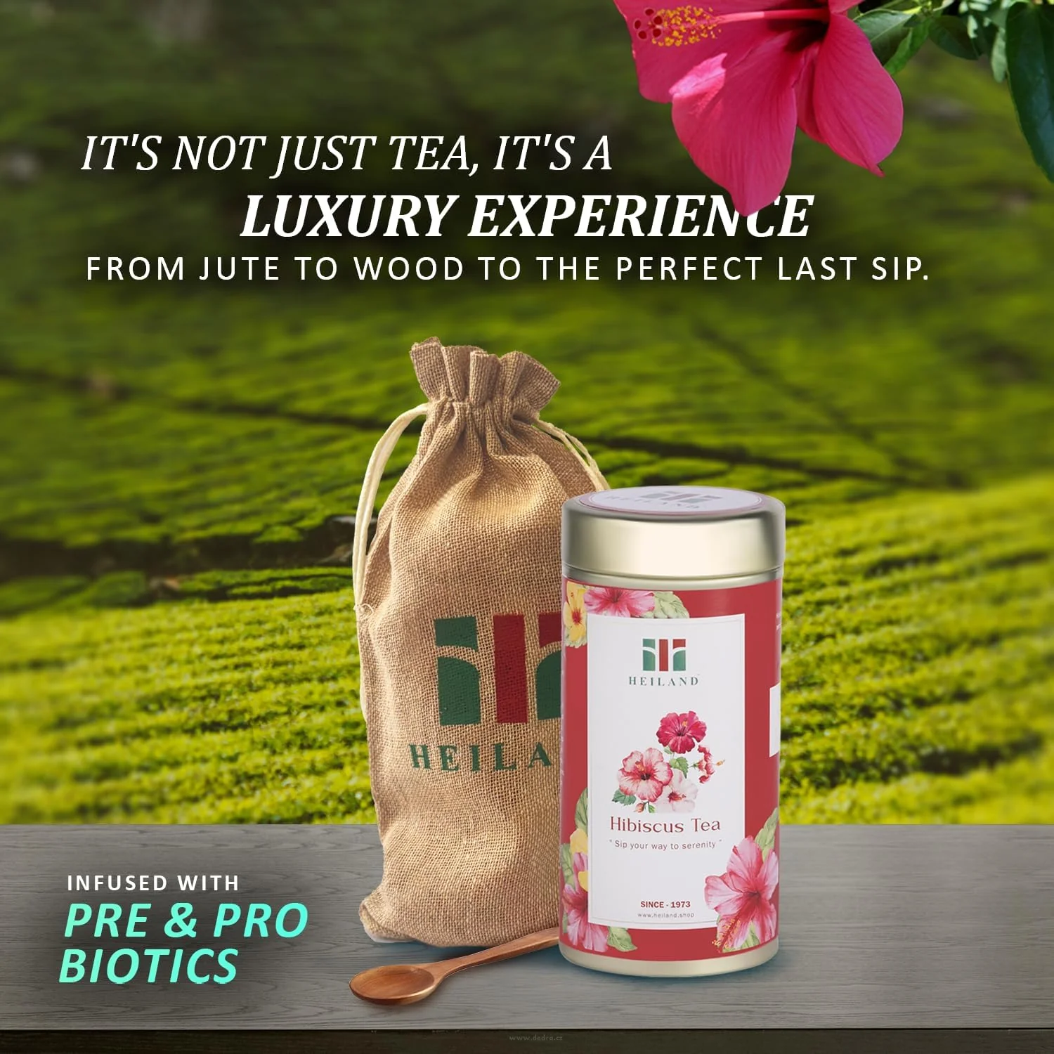 Hibiscus Tea - Image 7