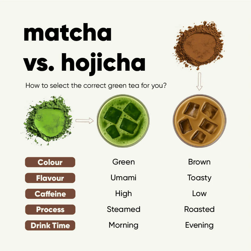 High Grade Hojicha | 25g Jar | Spring Harvest | Elite Grade - Image 4
