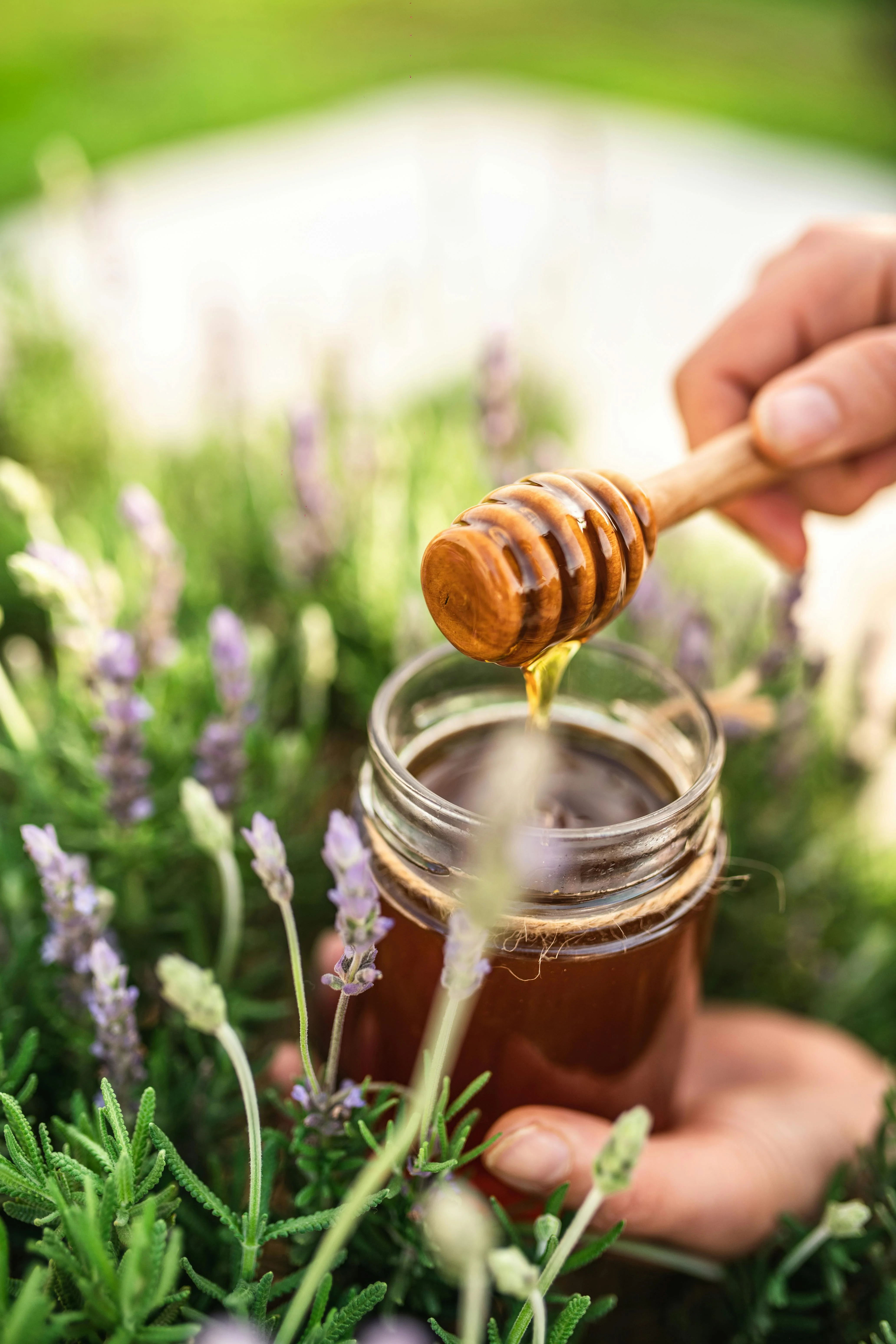 Himalayan Honey | Multifloral | Kangra's Finest | Pure Kangra Honey | Golden Elixir - Image 9