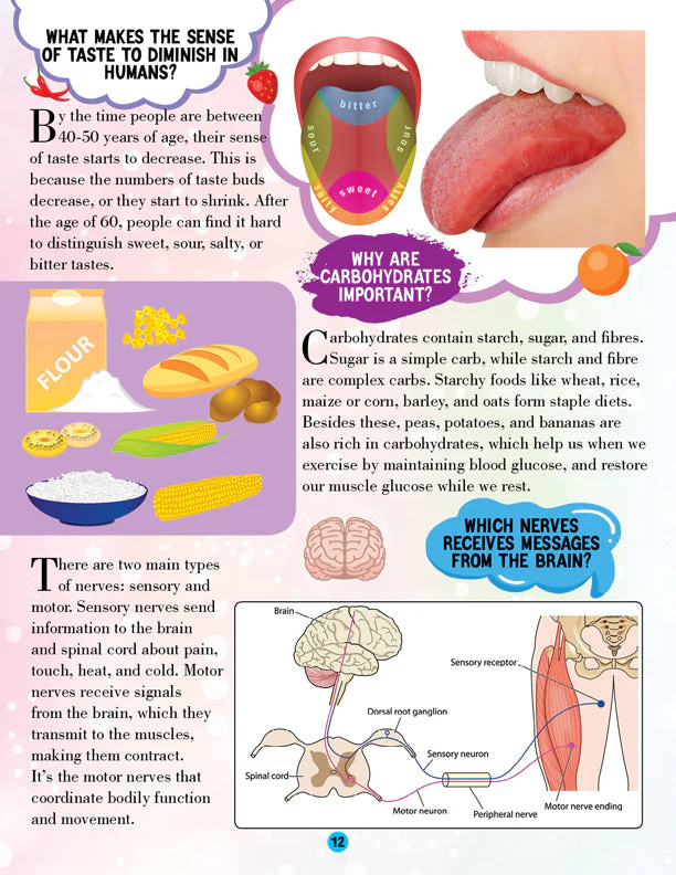 Human Body Encyclopedia for Children Age 5 - 15 Years- All About Trivia Questions and Answers - Image 7