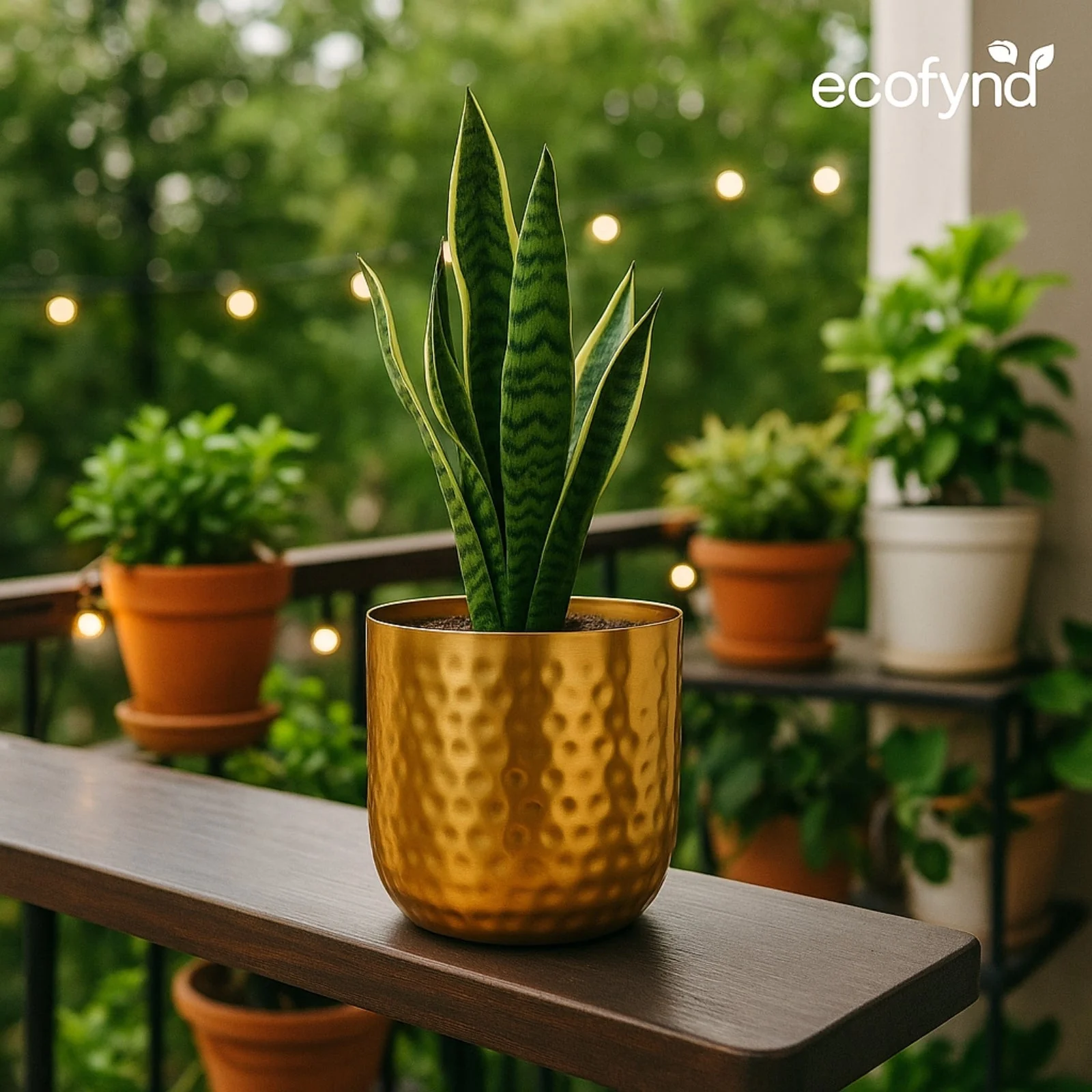 Ivara 5 Inch Golden Metal Plant Pot – Modern Decor - Image 2