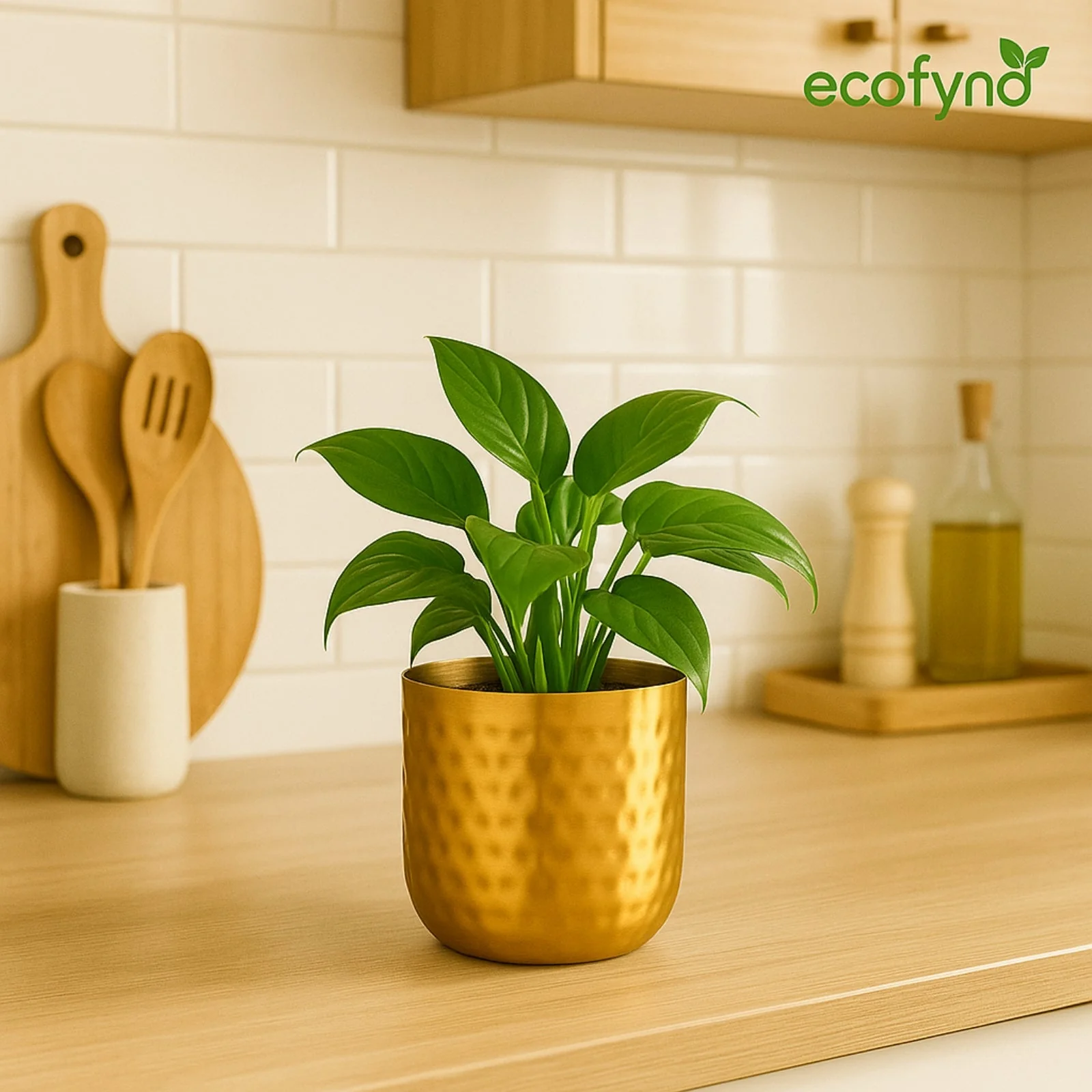 Ivara 5 Inch Golden Metal Plant Pot – Modern Decor - Image 7