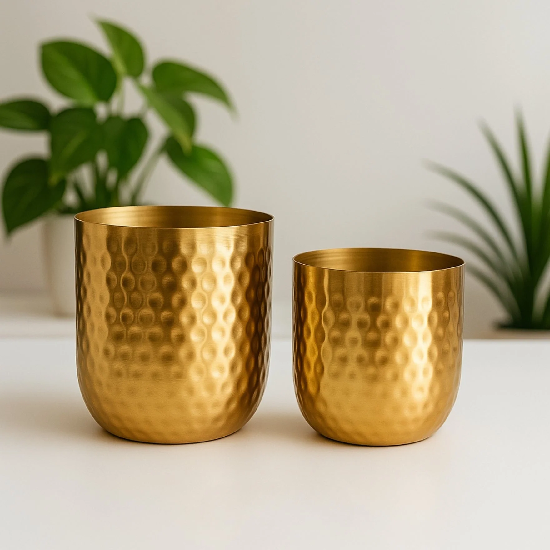 Ivara Gold Metal Plant Pots (Set of 2) – Modern Decor