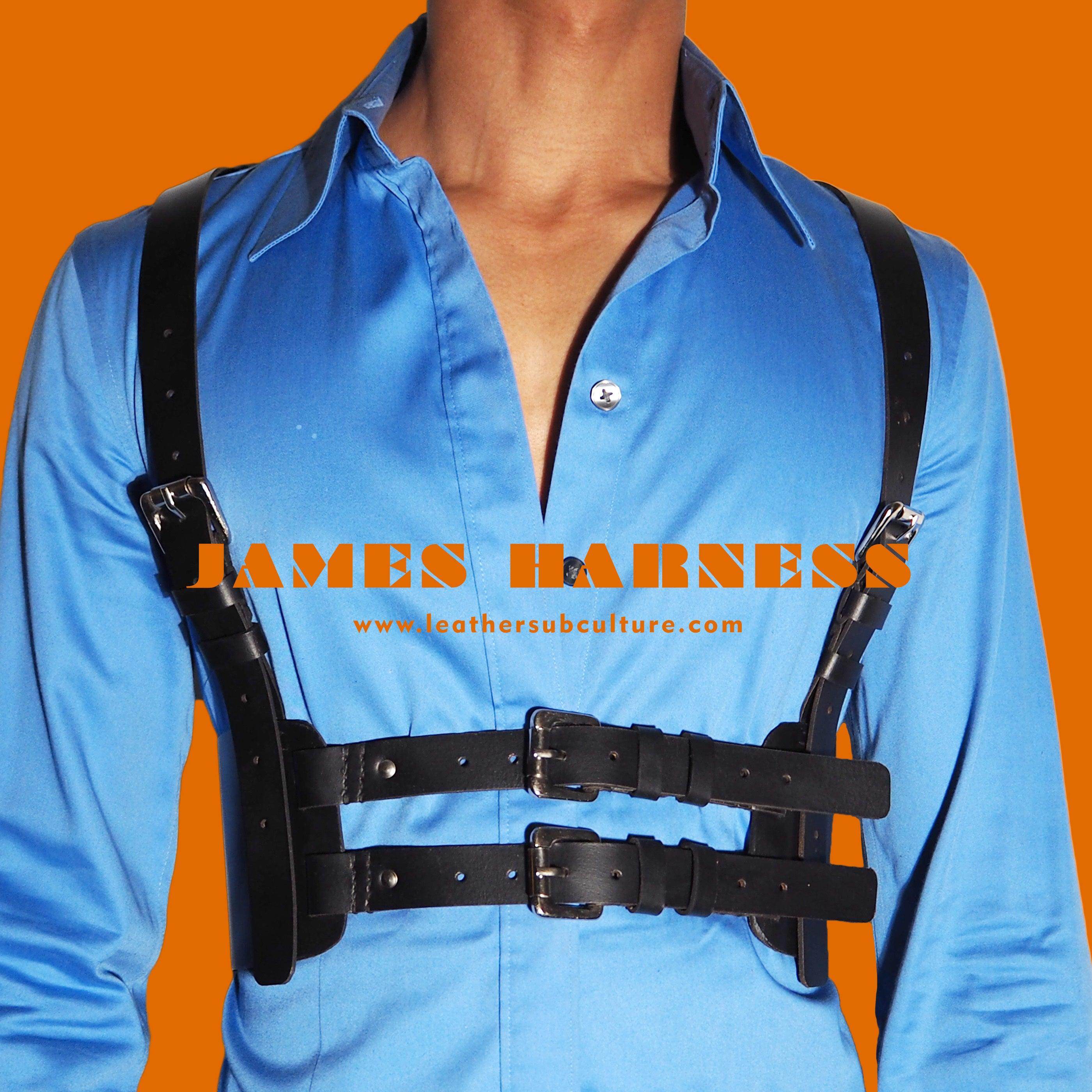 James Harness - Image 2