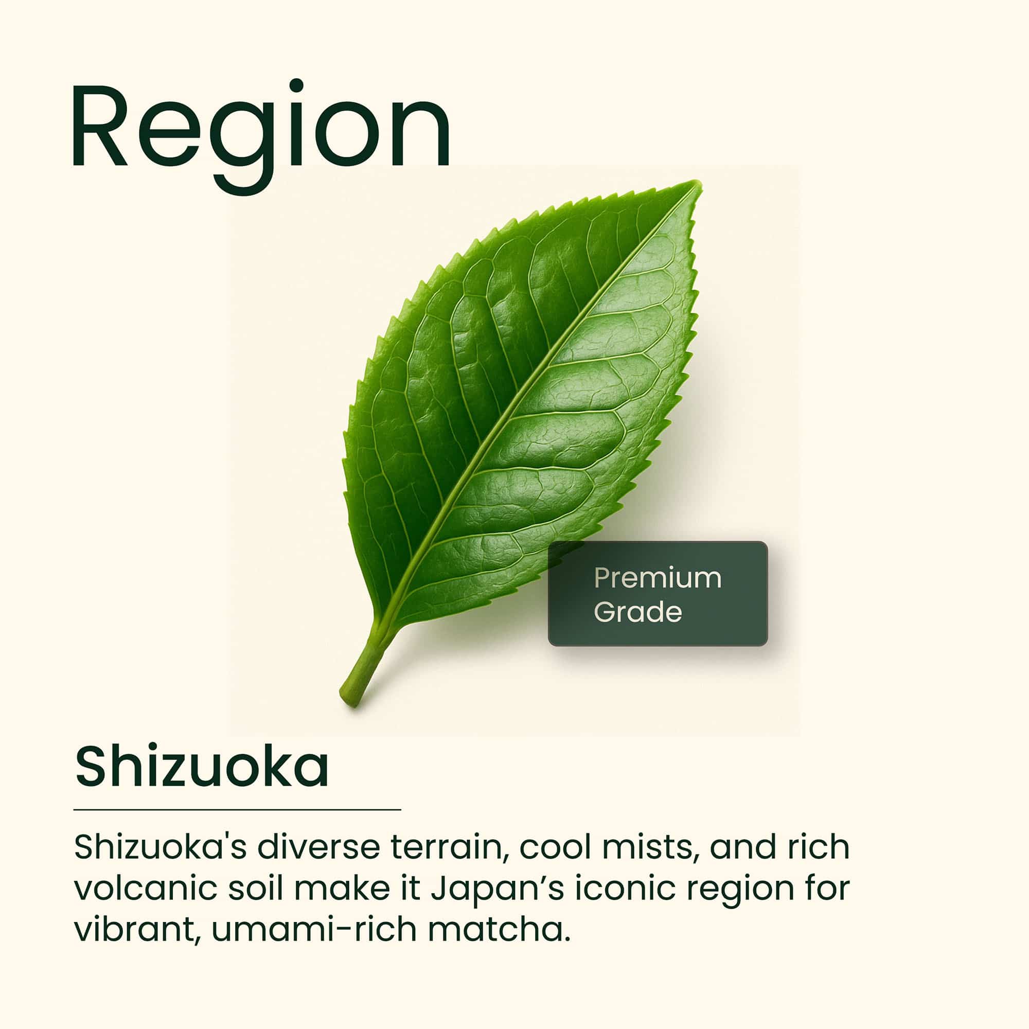 Japanese Matcha Green Tea (Premium Grade), 50g - Image 2