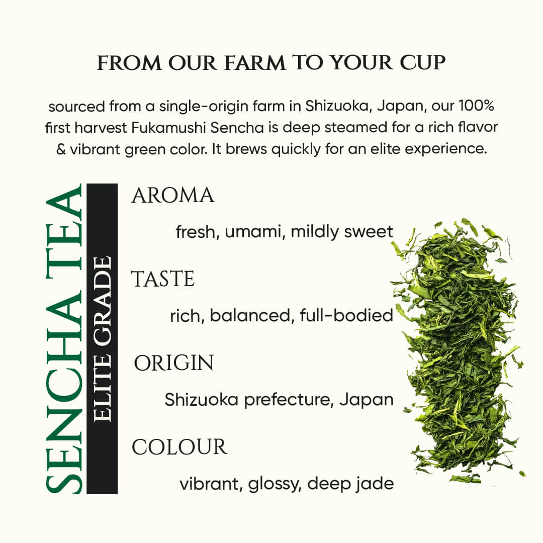 Japanese Sencha Tea | Elite Grade | Green Tea | Spring Harvest | Deep Steamed - Image 3