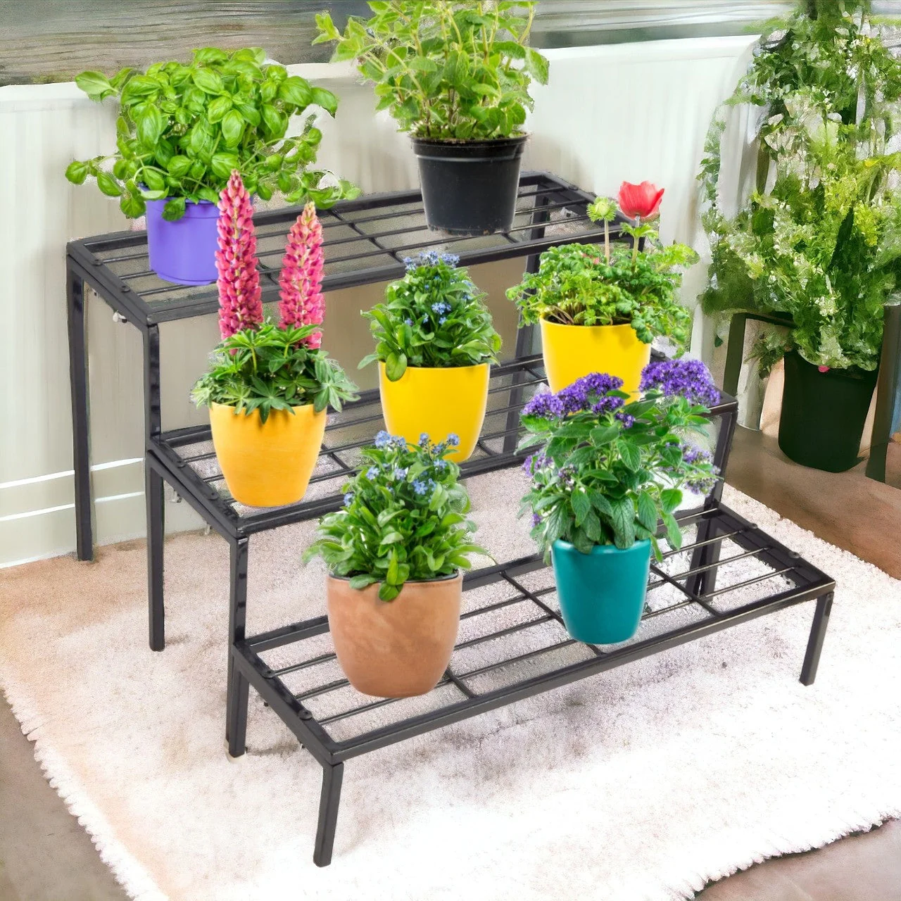Jasper Premium Metal Plant Stand – Stylish Black Display Rack - Image 2