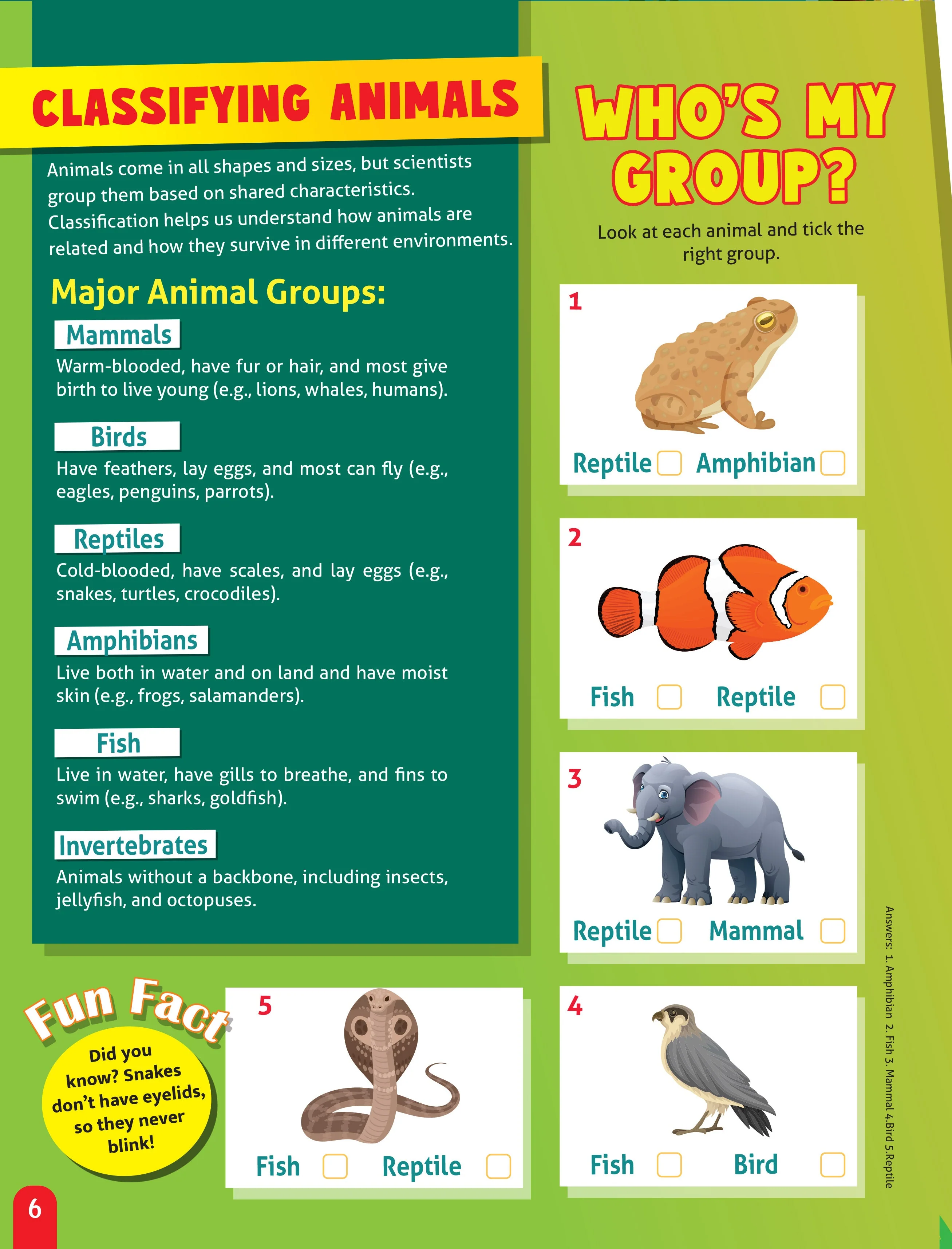 Junior Genius: Amazing Animals – A Fun-Filled Learning Book for Kids Age 7+ | Discover Incredible Creatures with Facts, Activities, and Puzzles - Image 4