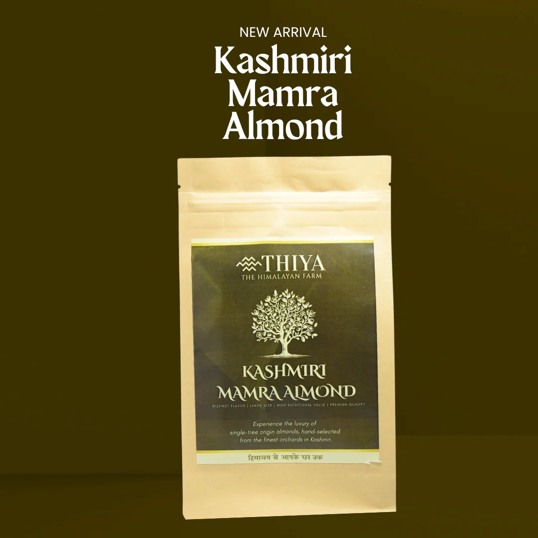 Kashmiri Mamra Almonds | Kashmir's Finest | Mamra Almonds | 500g - Image 2