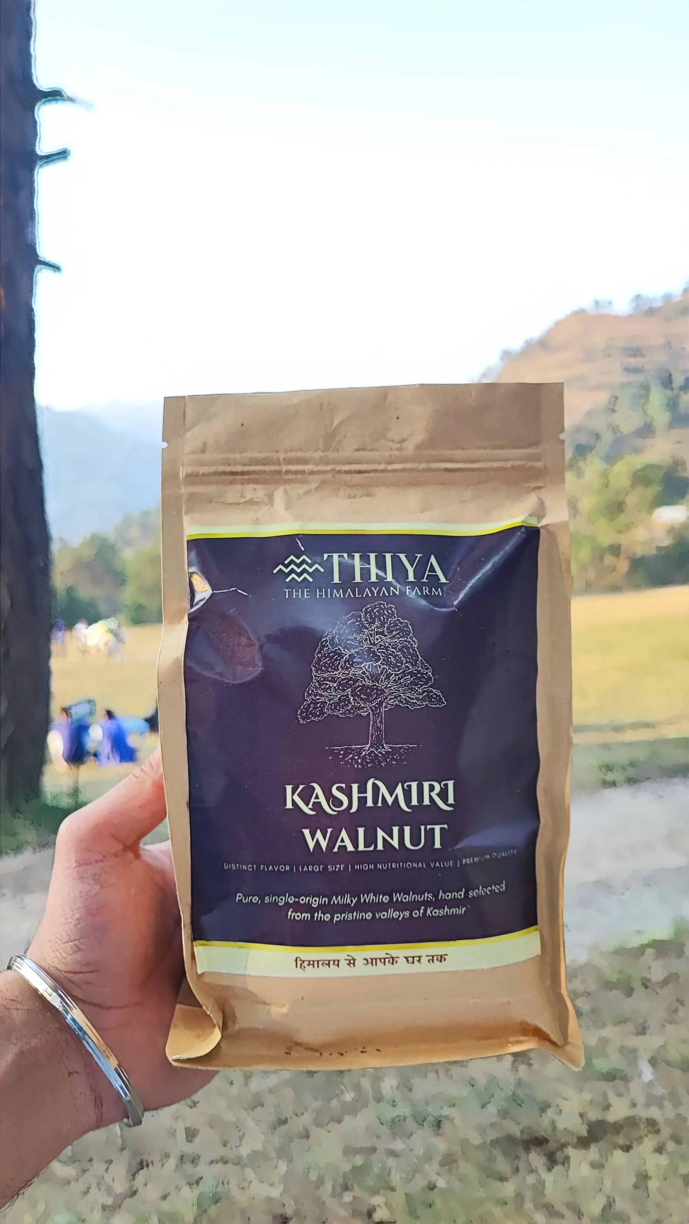 Kashmiri Milky Walnuts | Kashmir's Finest | Pure Milky Walnuts | - Image 3