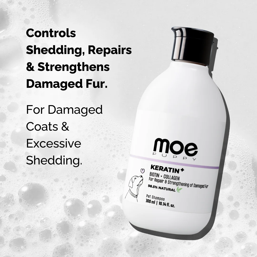 Keratin+ Hairfall Shampoo for Dogs & Cats - Image 3