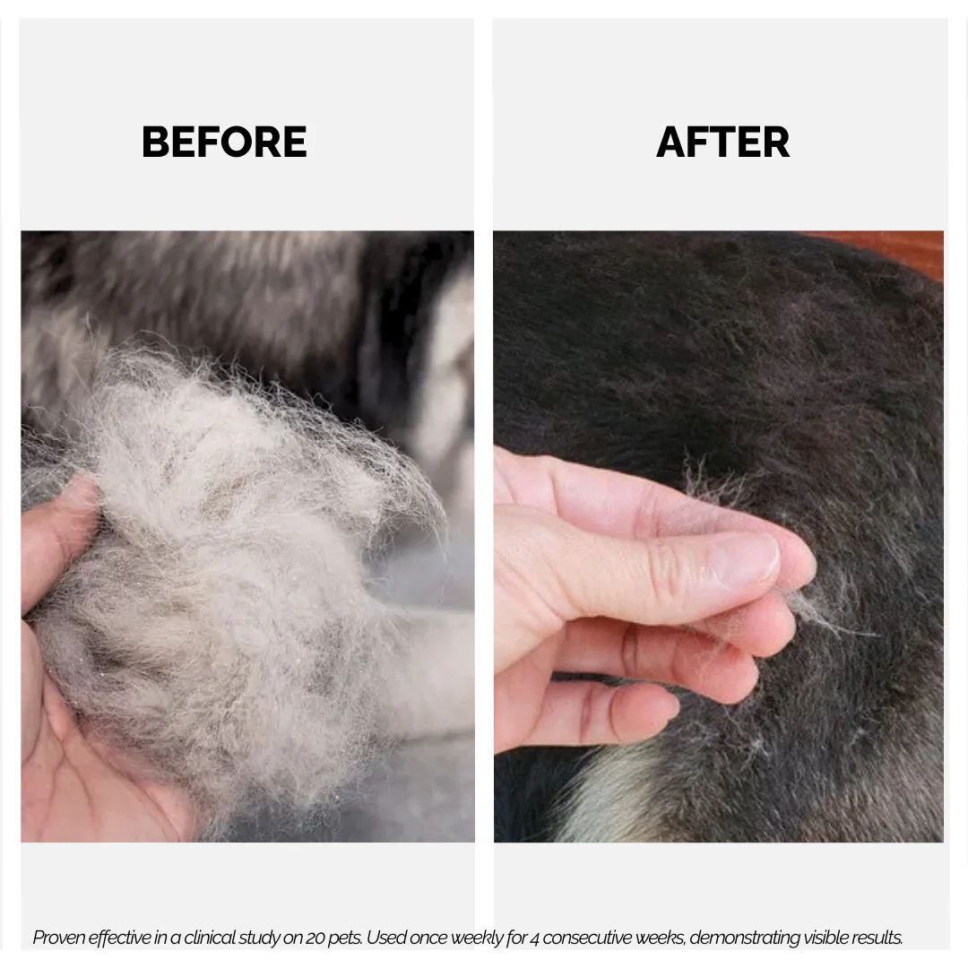 Keratin+ Hairfall Shampoo for Dogs & Cats - Image 4