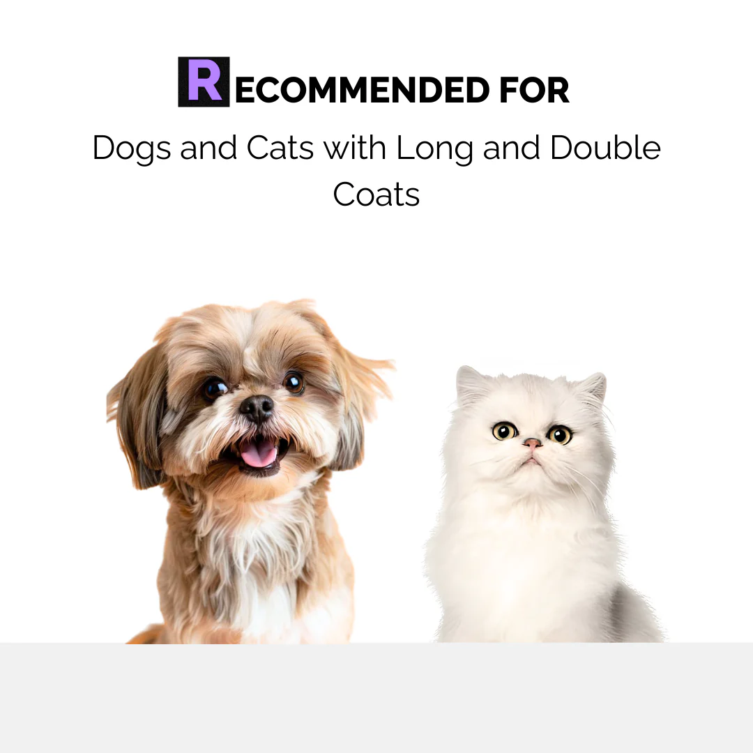 Keratin+ Hairfall Shampoo for Dogs & Cats - Image 5