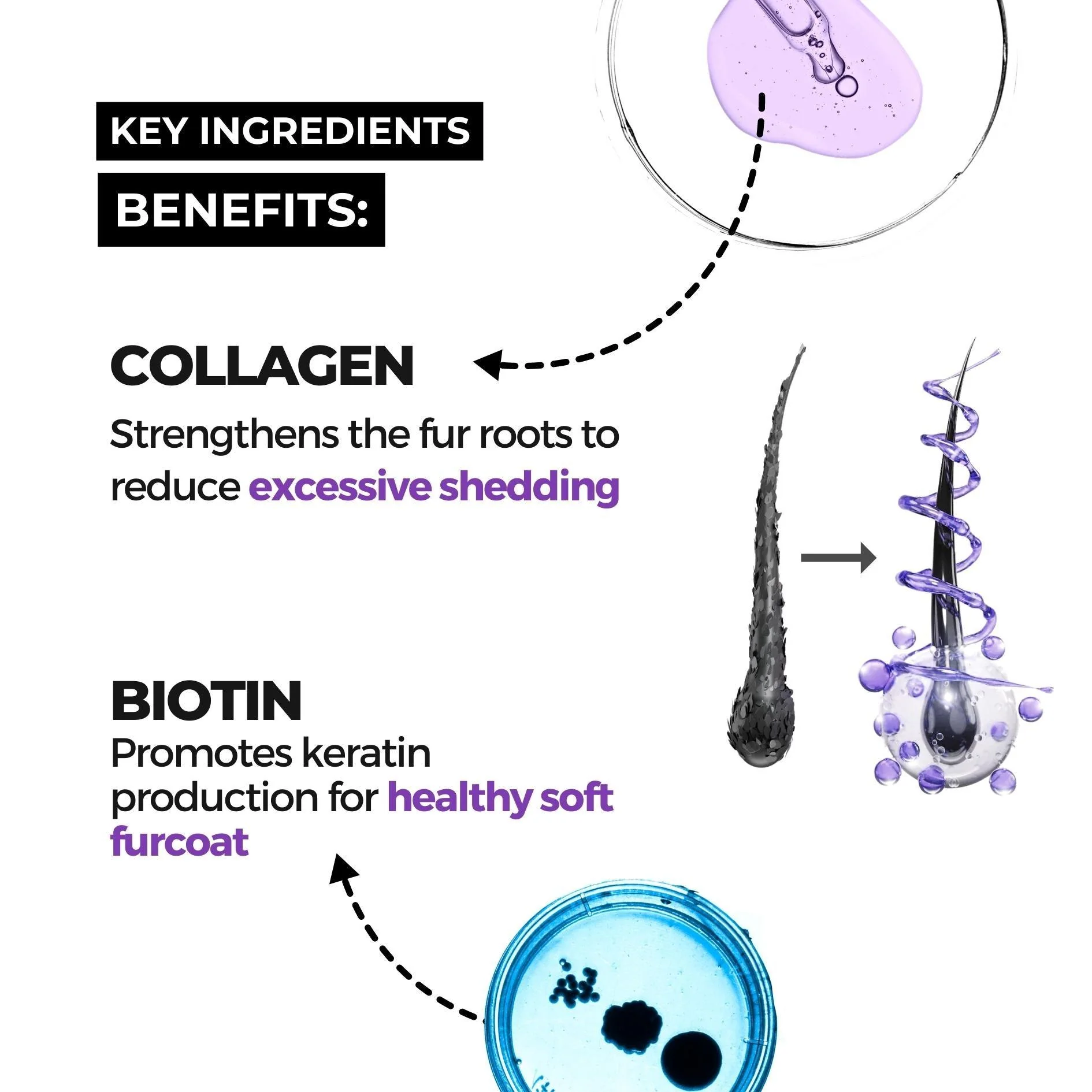 Keratin+ & Shampoo + Conditioner Pet Shampoo Combo - Image 3