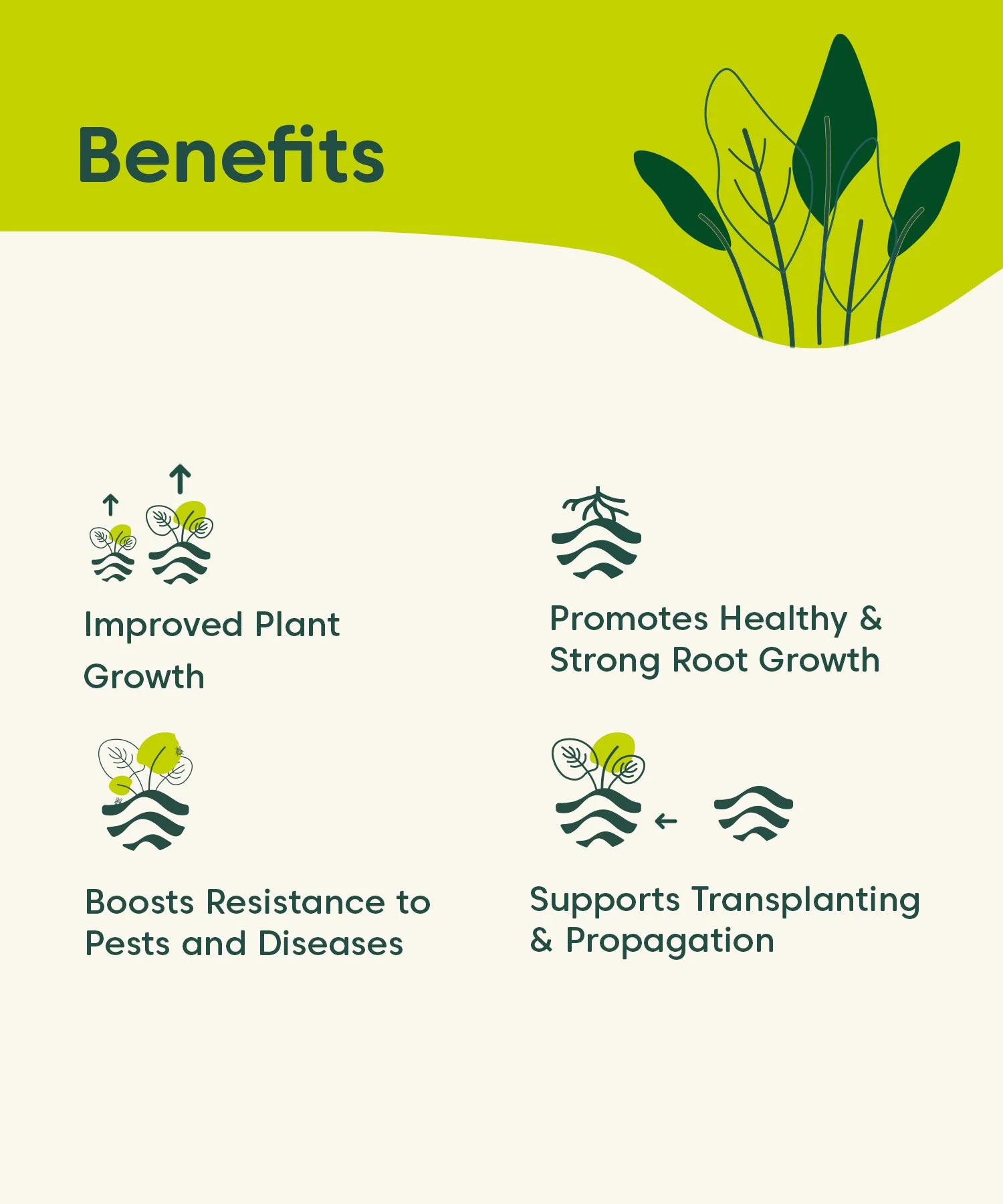 Kyari 5 in 1 Plant Care Kit - 5 Organic Boosters - Image 4