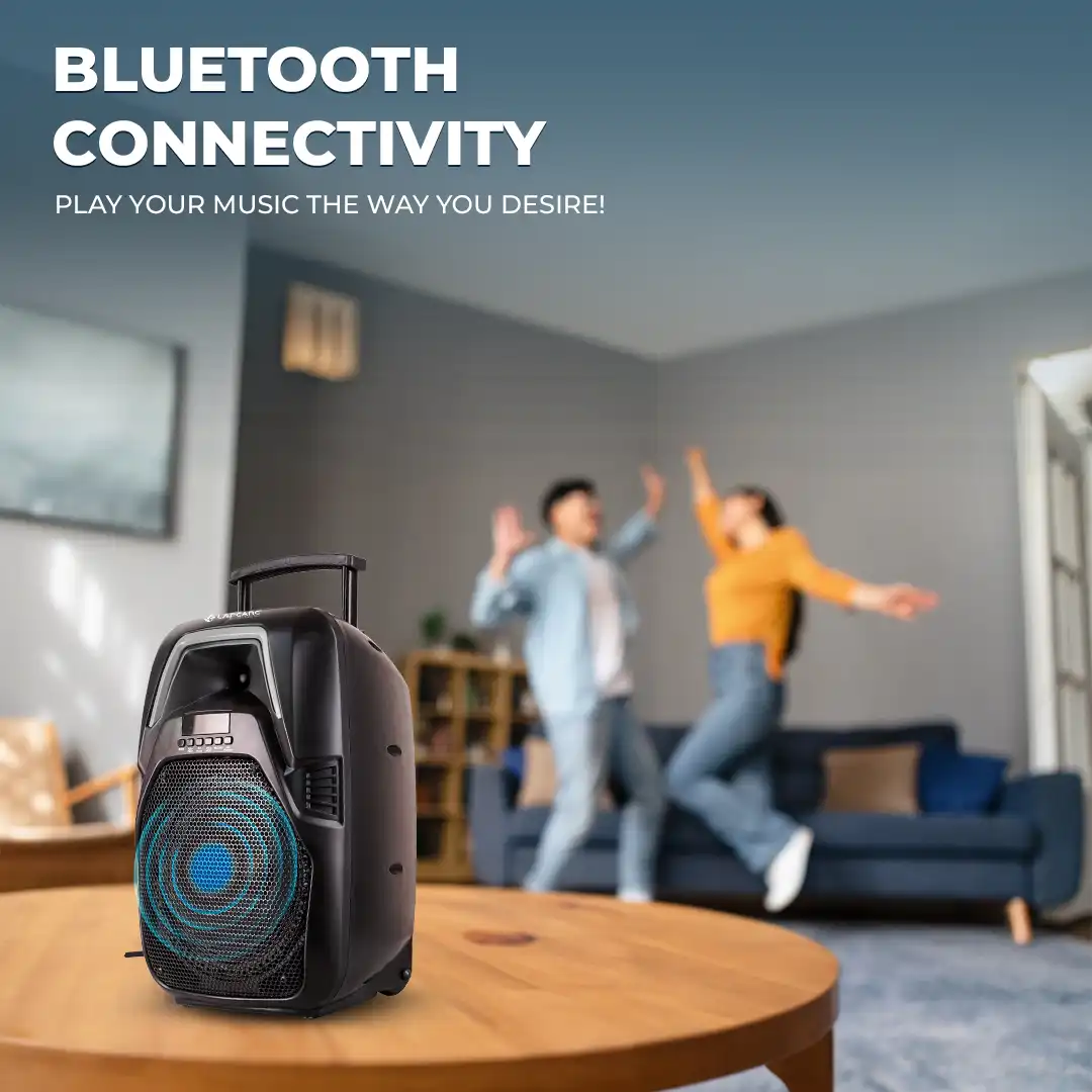 LAPSONIC IV - Image 6