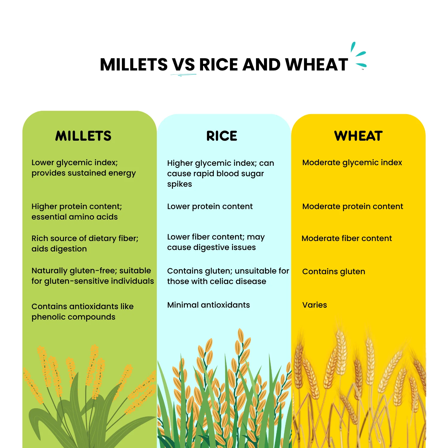 Little Millet - Image 2
