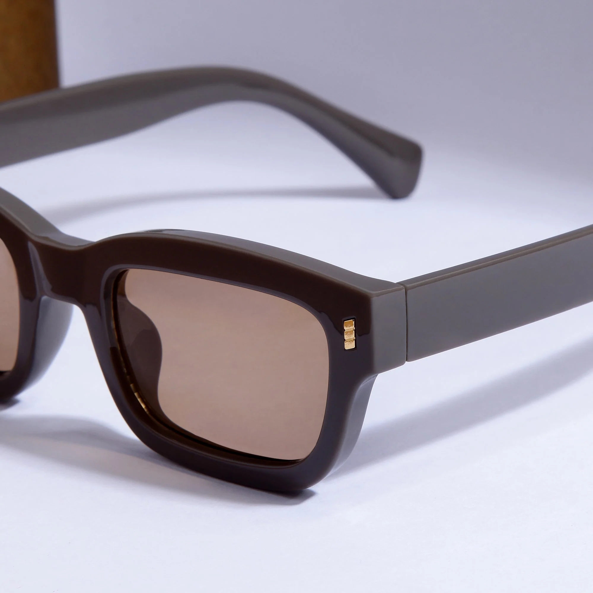 Lizard Brown Rectangle Sunglasses - Image 2