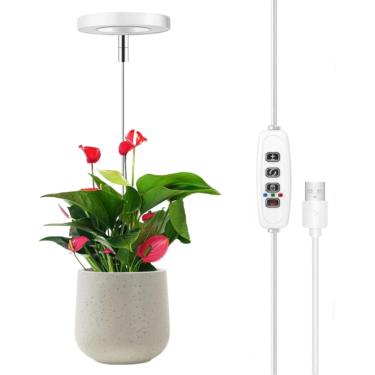 Lumi Grow Light for Indoor Plants | Full Spectrum Plant Lamp for Seedlings, Succulents, Small Plants - Image 5