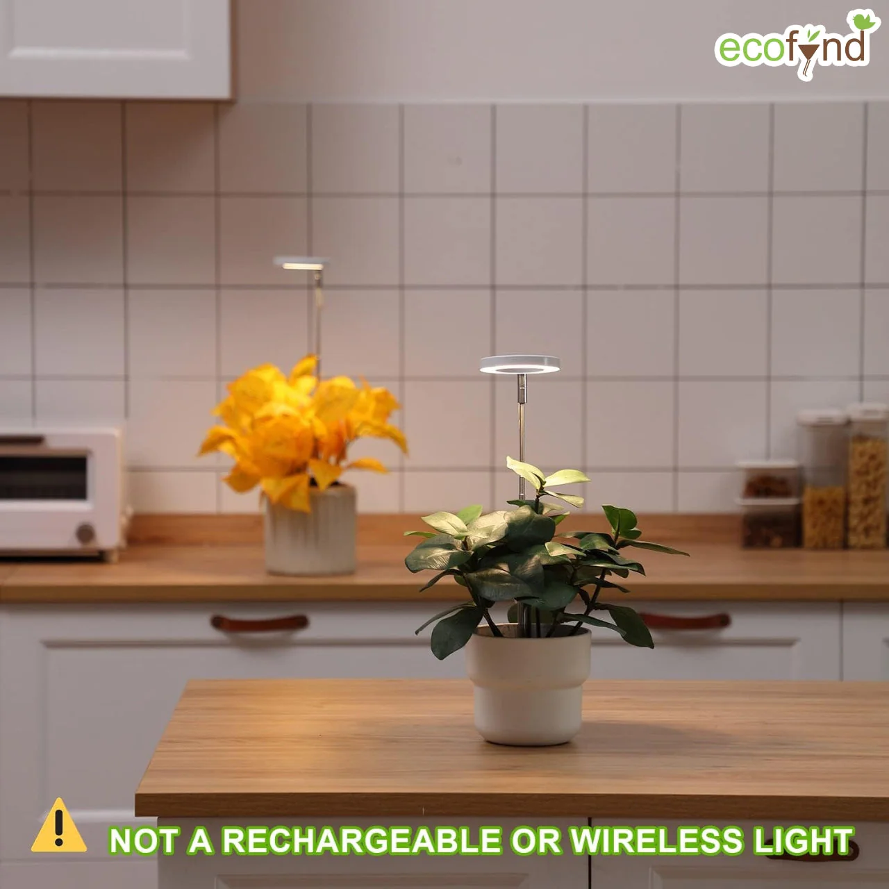 Lumi Grow Light for Indoor Plants | Full Spectrum Plant Lamp for Seedlings, Succulents, Small Plants - Image 4