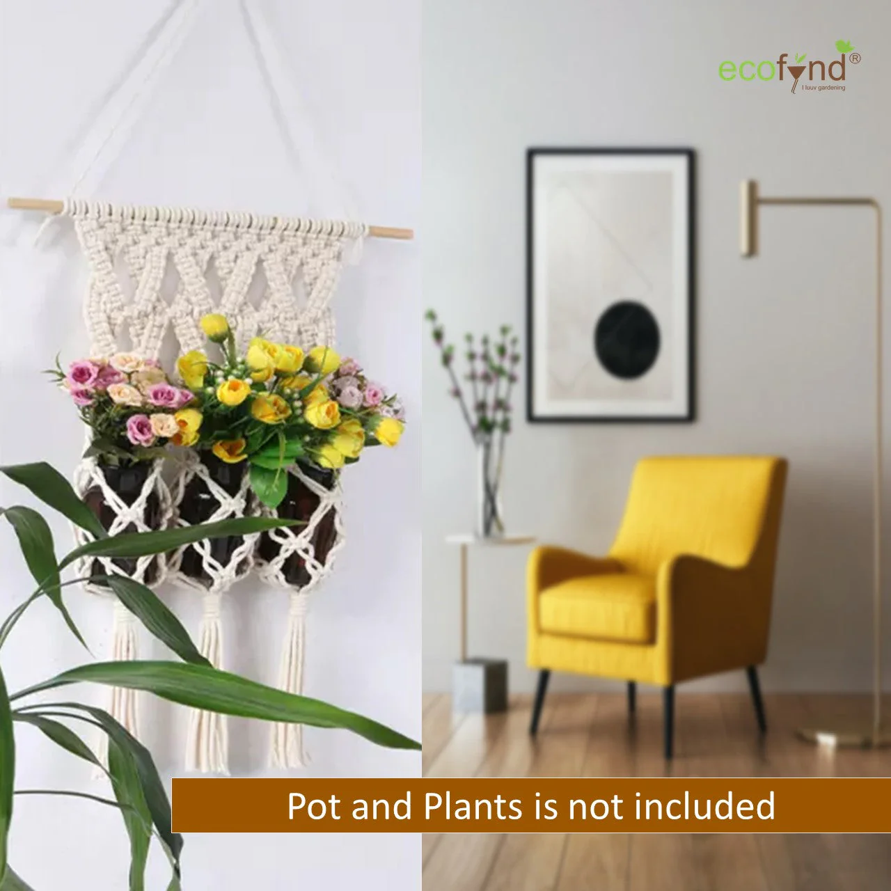 Macrame Cotton Plant Hanger - Image 2