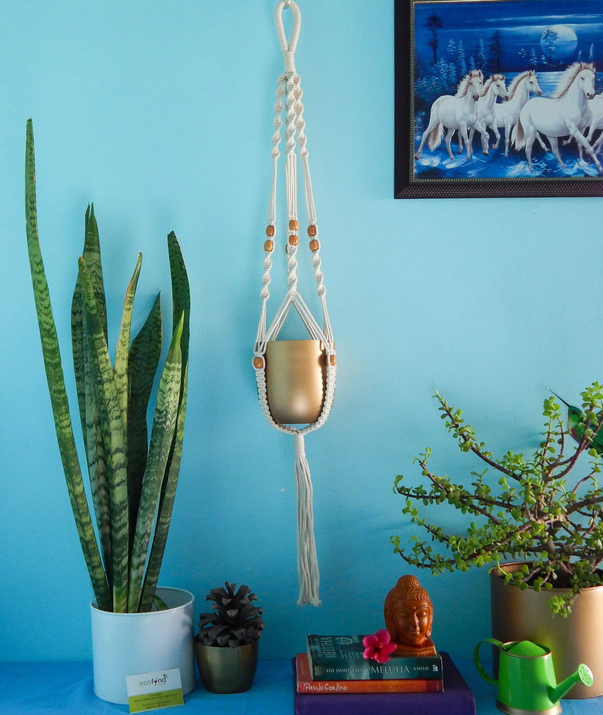 Macrame Cotton Plant Hanger with Beads - Image 2