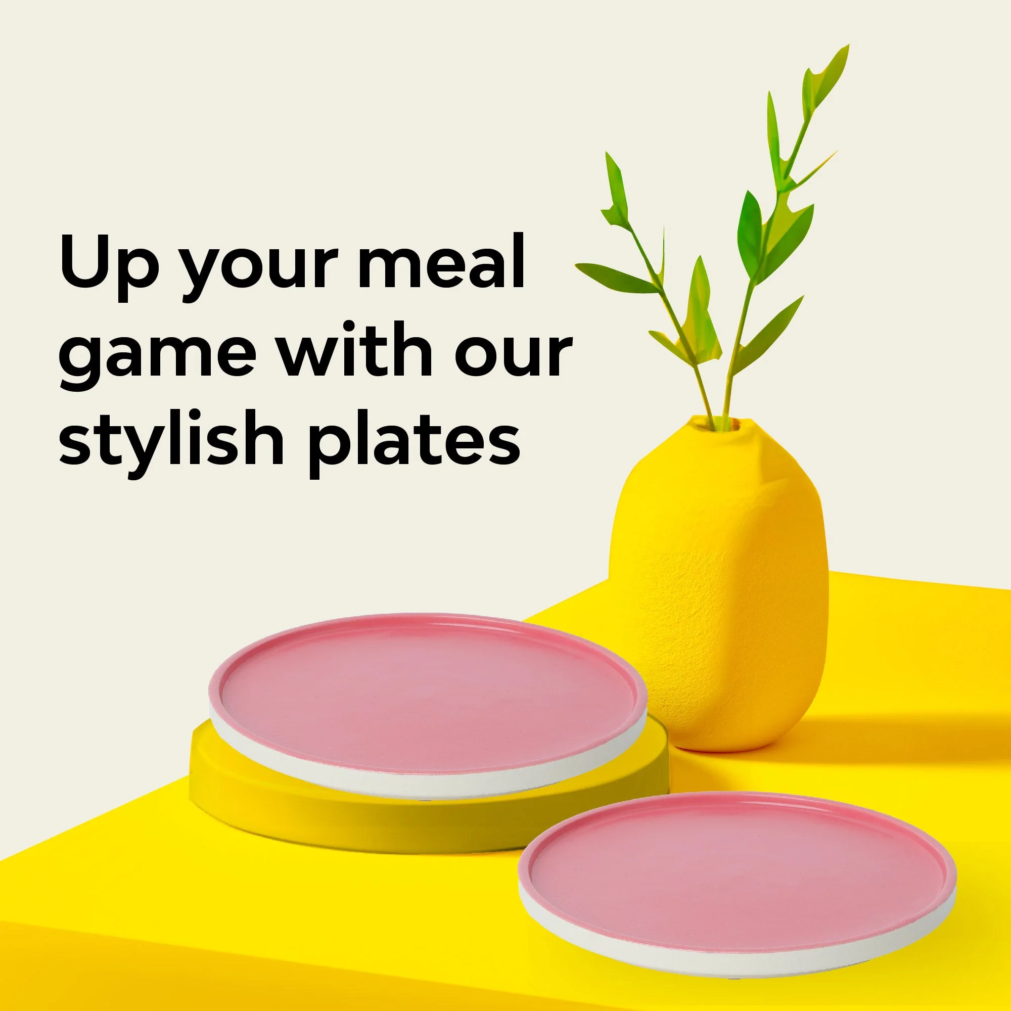 Matte Rim Dinner Plate | Set Of 2 - Image 14