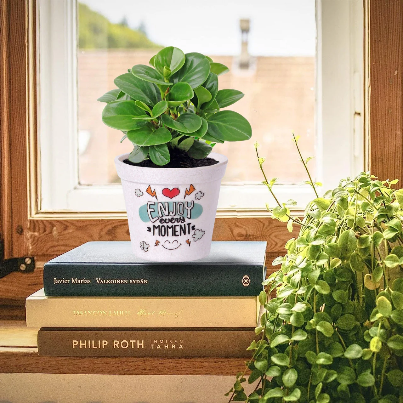 Melamine Cone Pot - Image 2