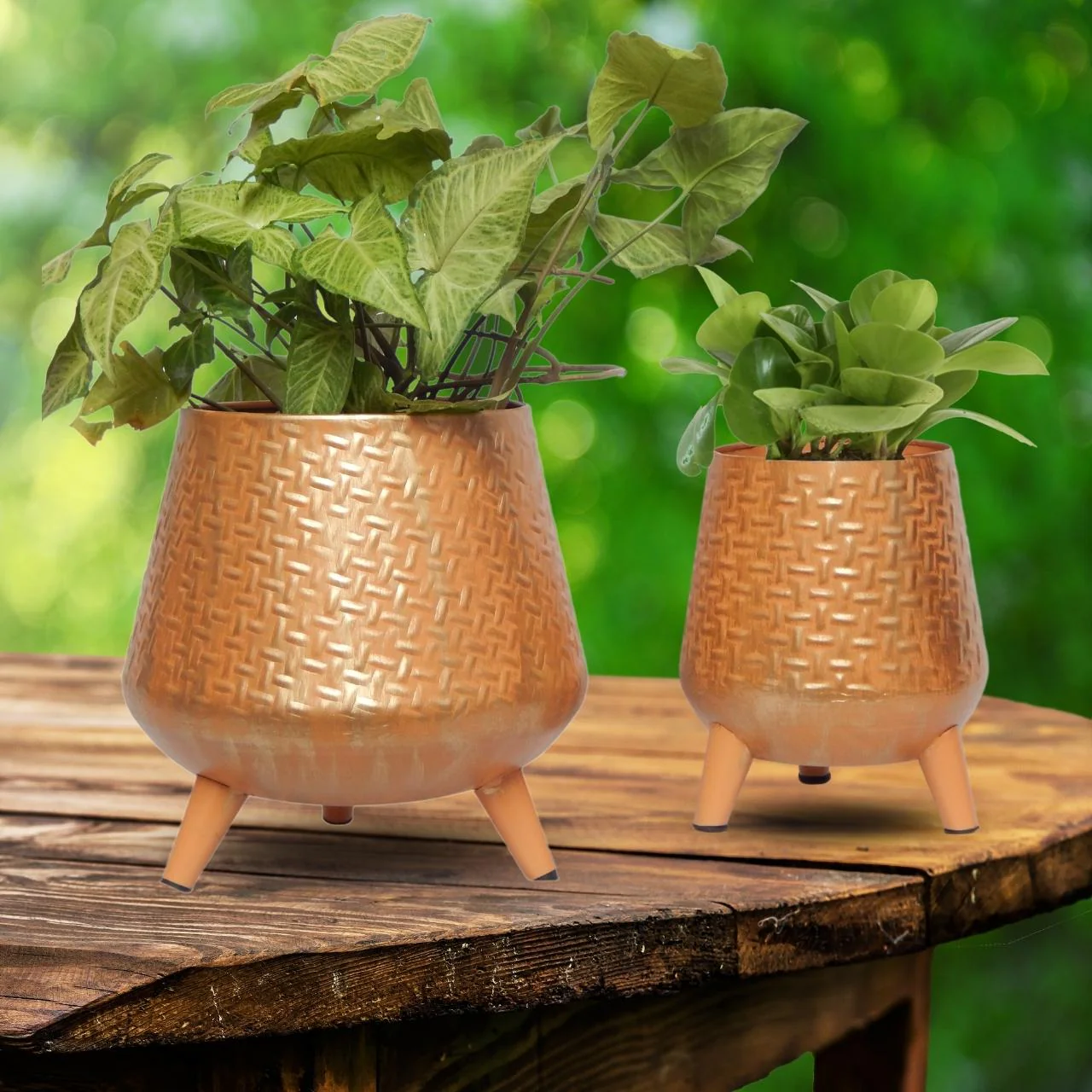 Melon Orange Iron Planter Stand Set – Indoor & Outdoor Décor - Image 6