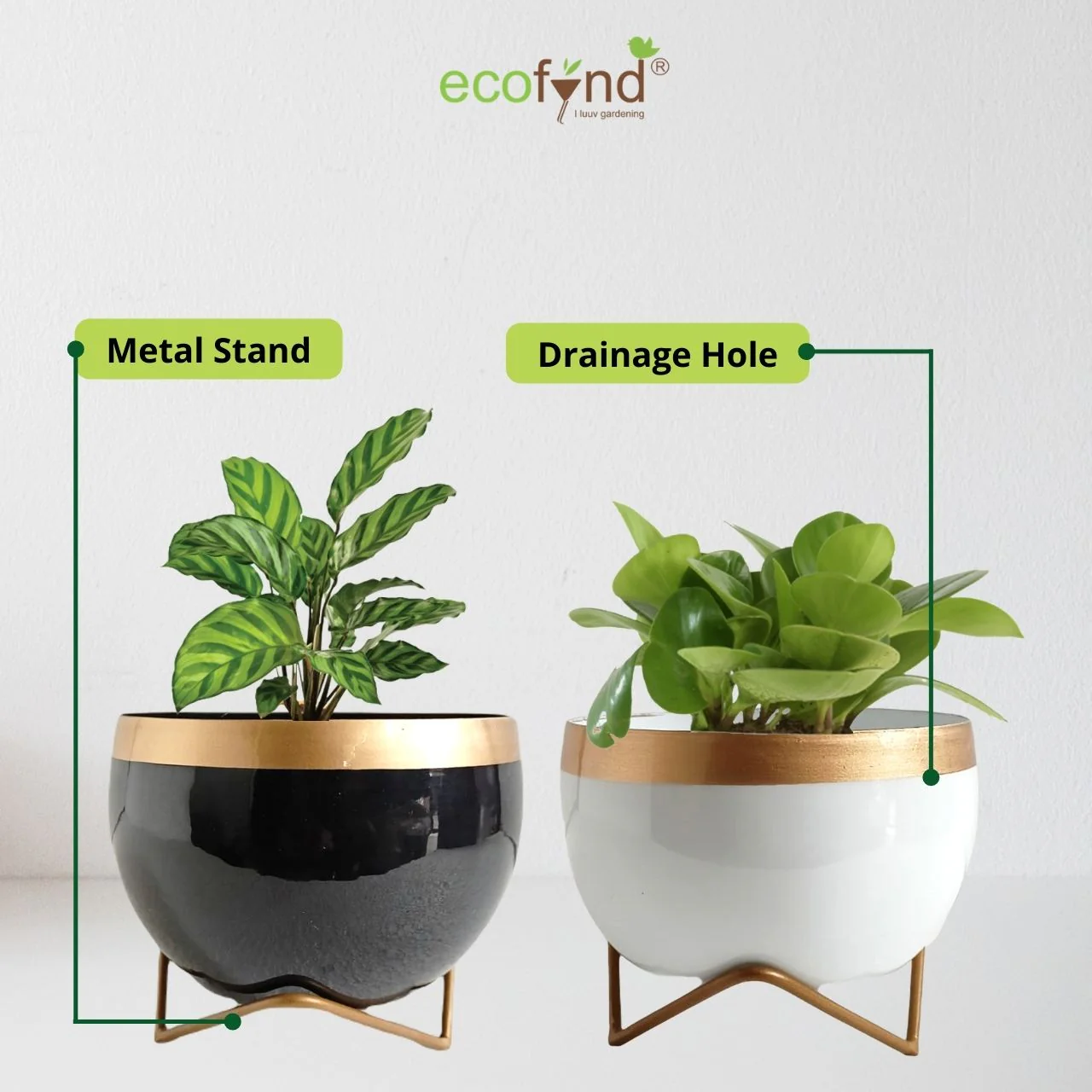 Metal Planter Pot with Gold Stand - Image 2