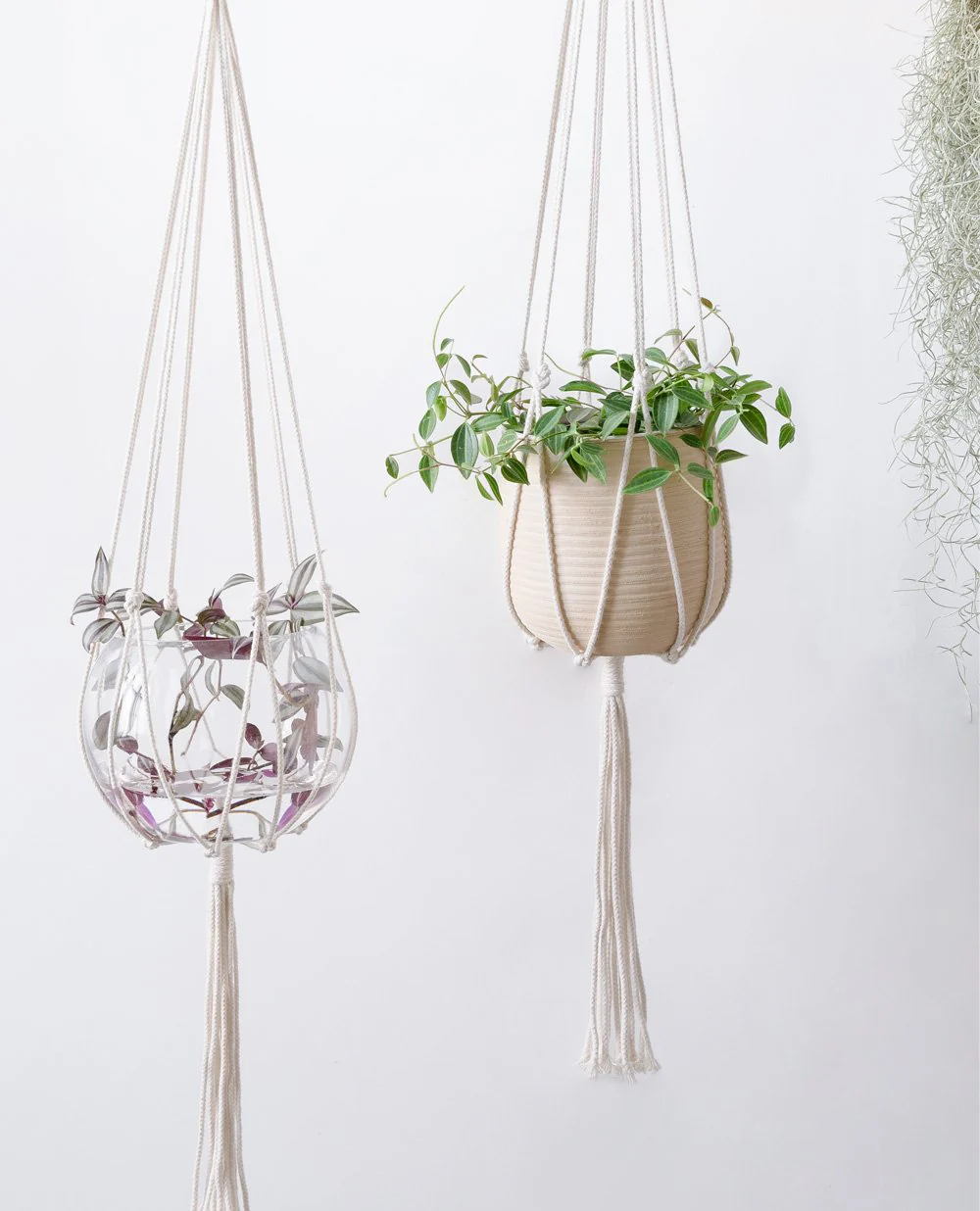 Minimalist Macrame Plant Hanger (Set of 2) - Image 2