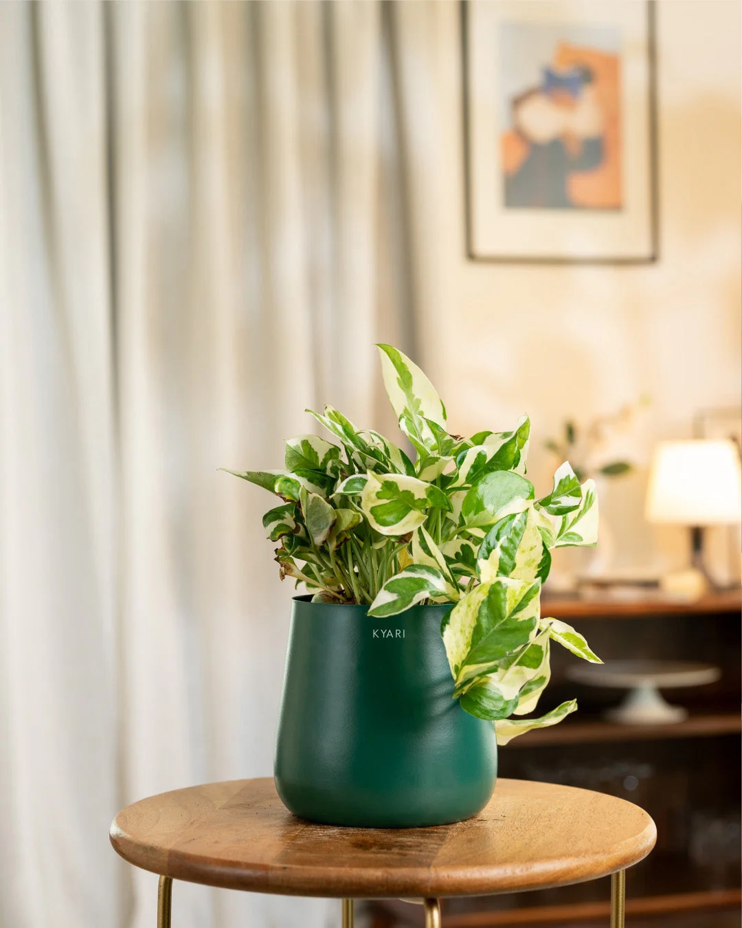 Money N'Joy Plant with Medium Metal Self Watering Pot_ - Image 101