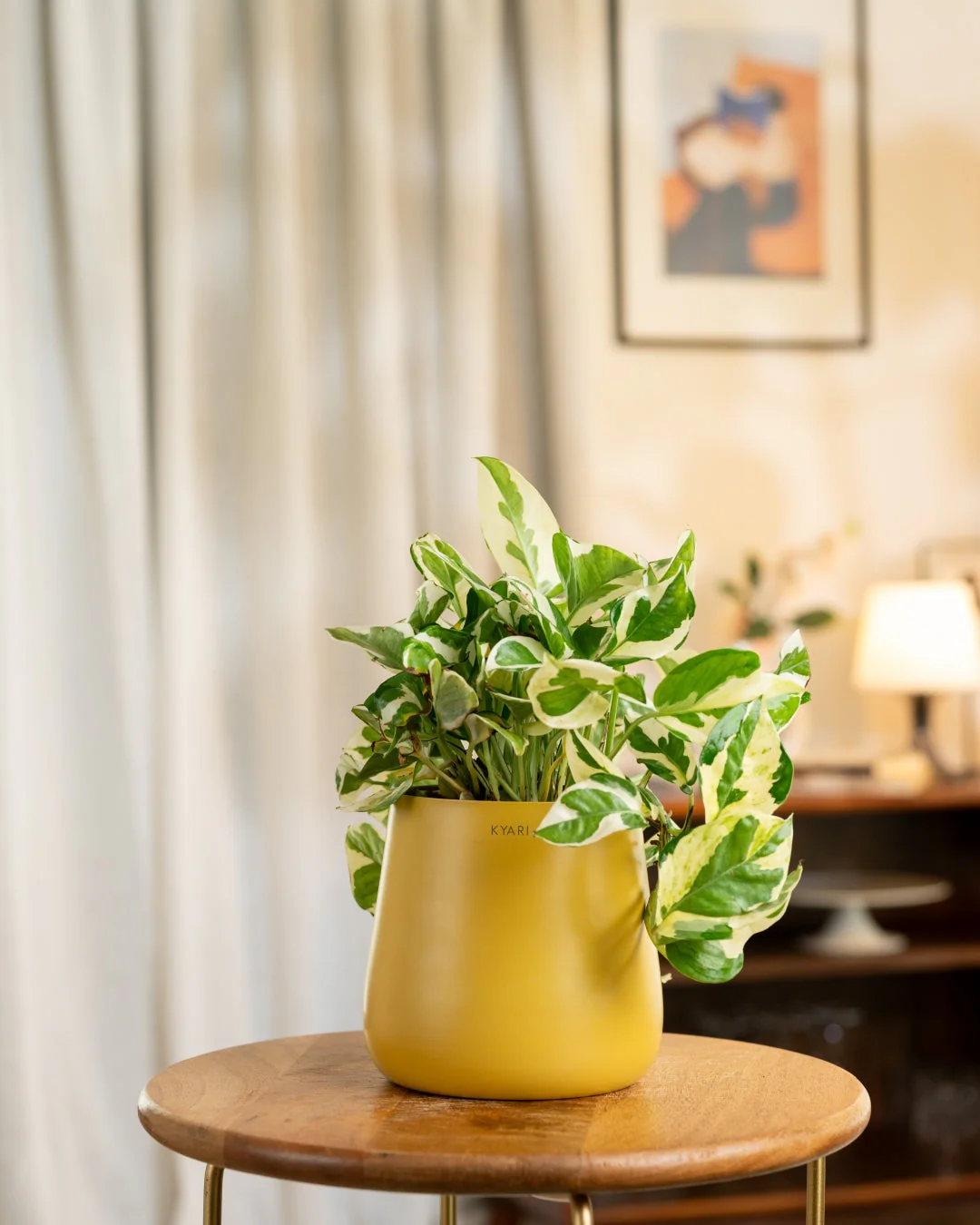 Money N'Joy Plant with Medium Metal Self Watering Pot_ - Image 116