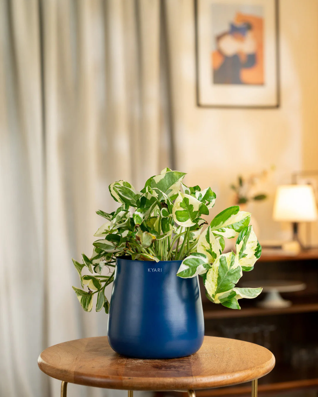 Money N'Joy Plant with Medium Metal Self Watering Pot_ - Image 188
