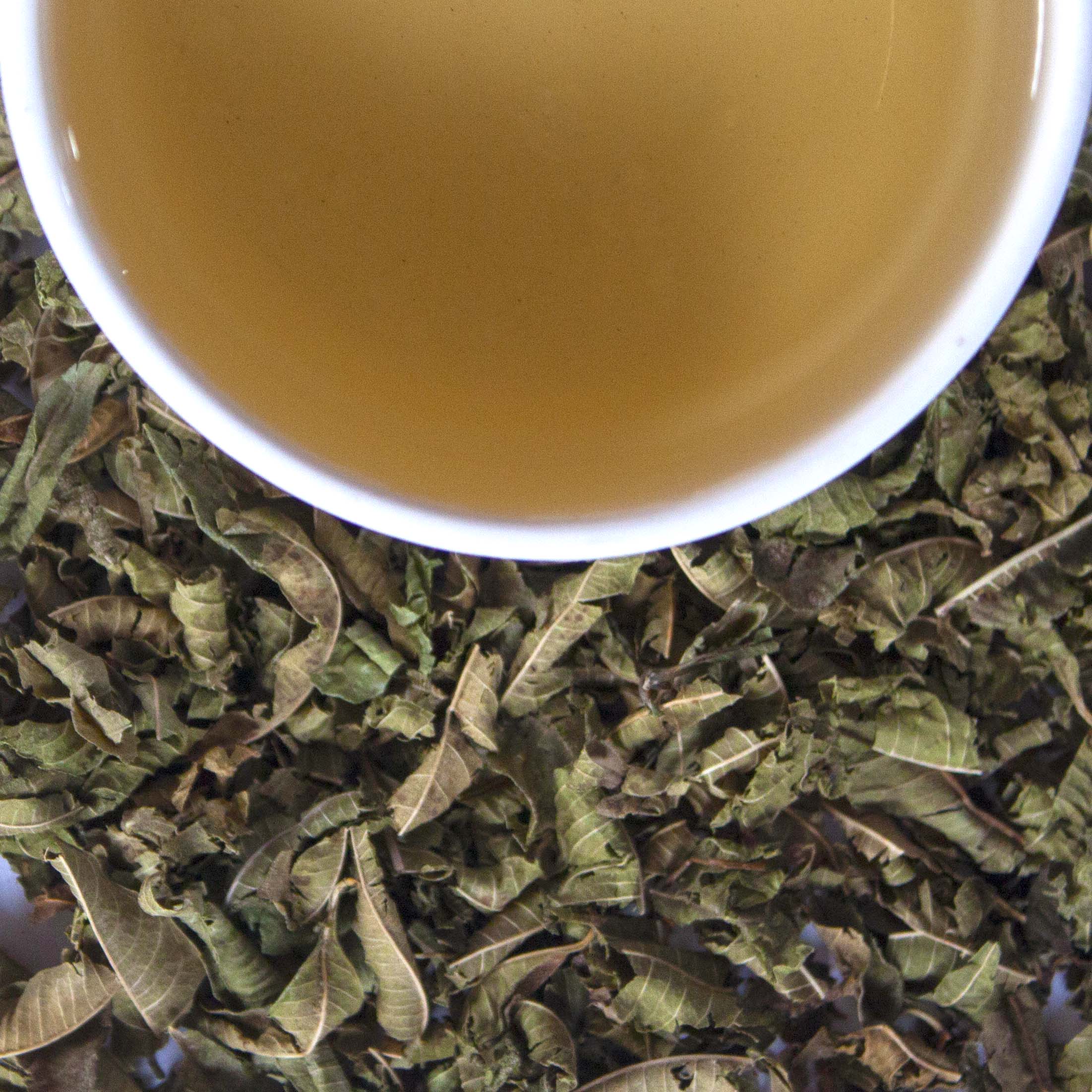 Moroccan Lemon Verbena - Image 3