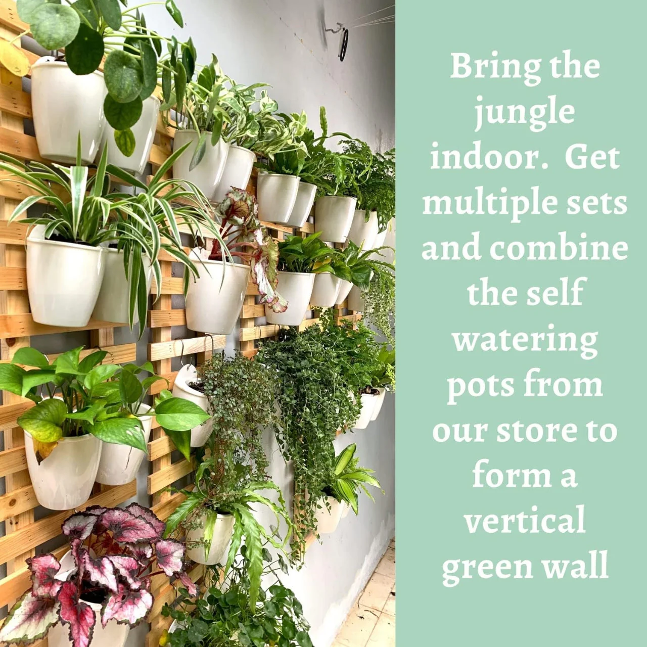 Nature's Frame – Wooden Wall Planter by Ecofynd - Image 2