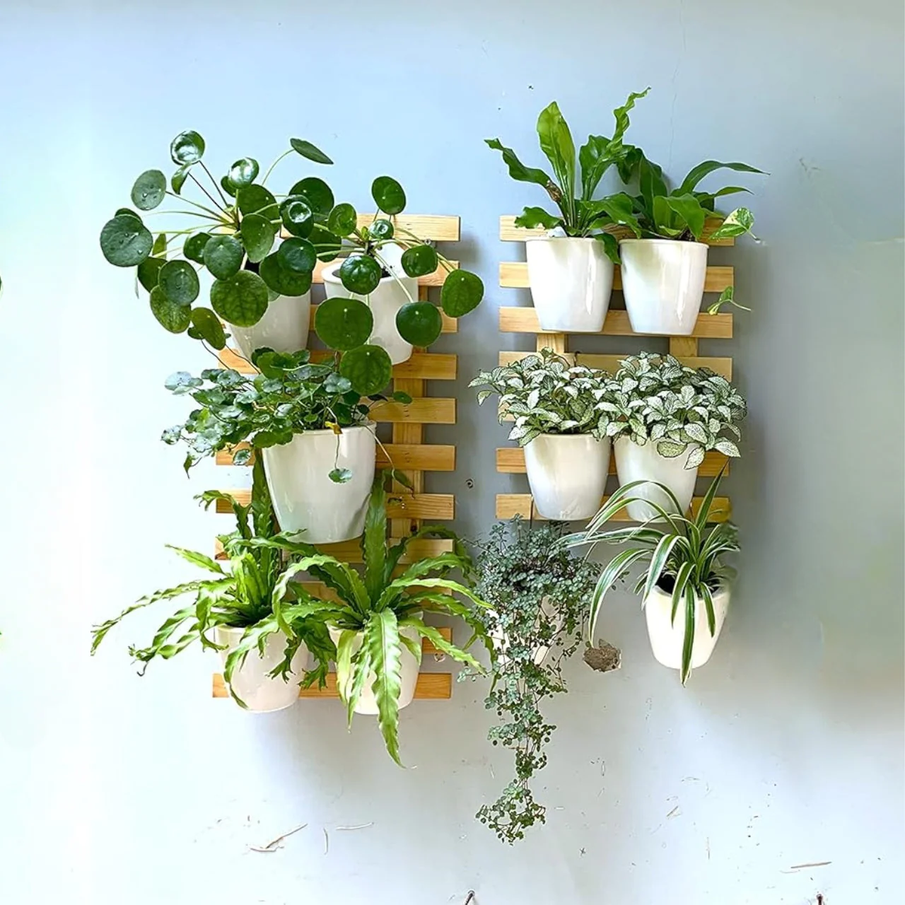 Nature's Frame – Wooden Wall Planter by Ecofynd - Image 4