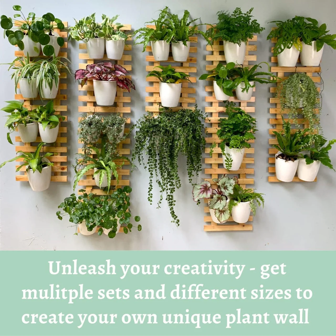 Nature's Frame – Wooden Wall Planter by Ecofynd - Image 5