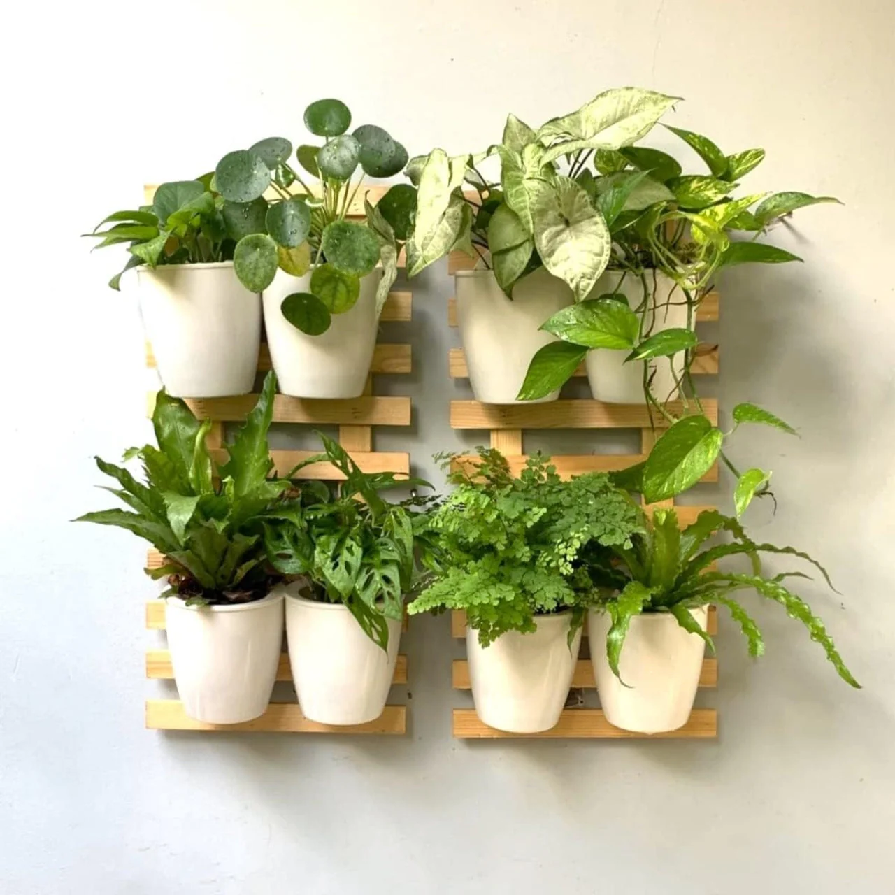 Nature's Frame – Wooden Wall Planter by Ecofynd - Image 7