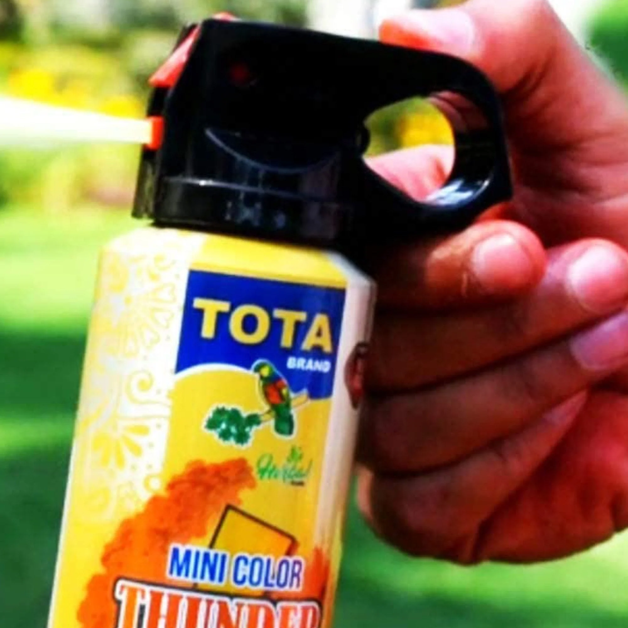 Non-Toxic Eco Friendly Holi Herbal Gulal Spray Bottle, Tota Mini Thunder Holi Herbal Gulal 4 - BOTTLES - Image 6