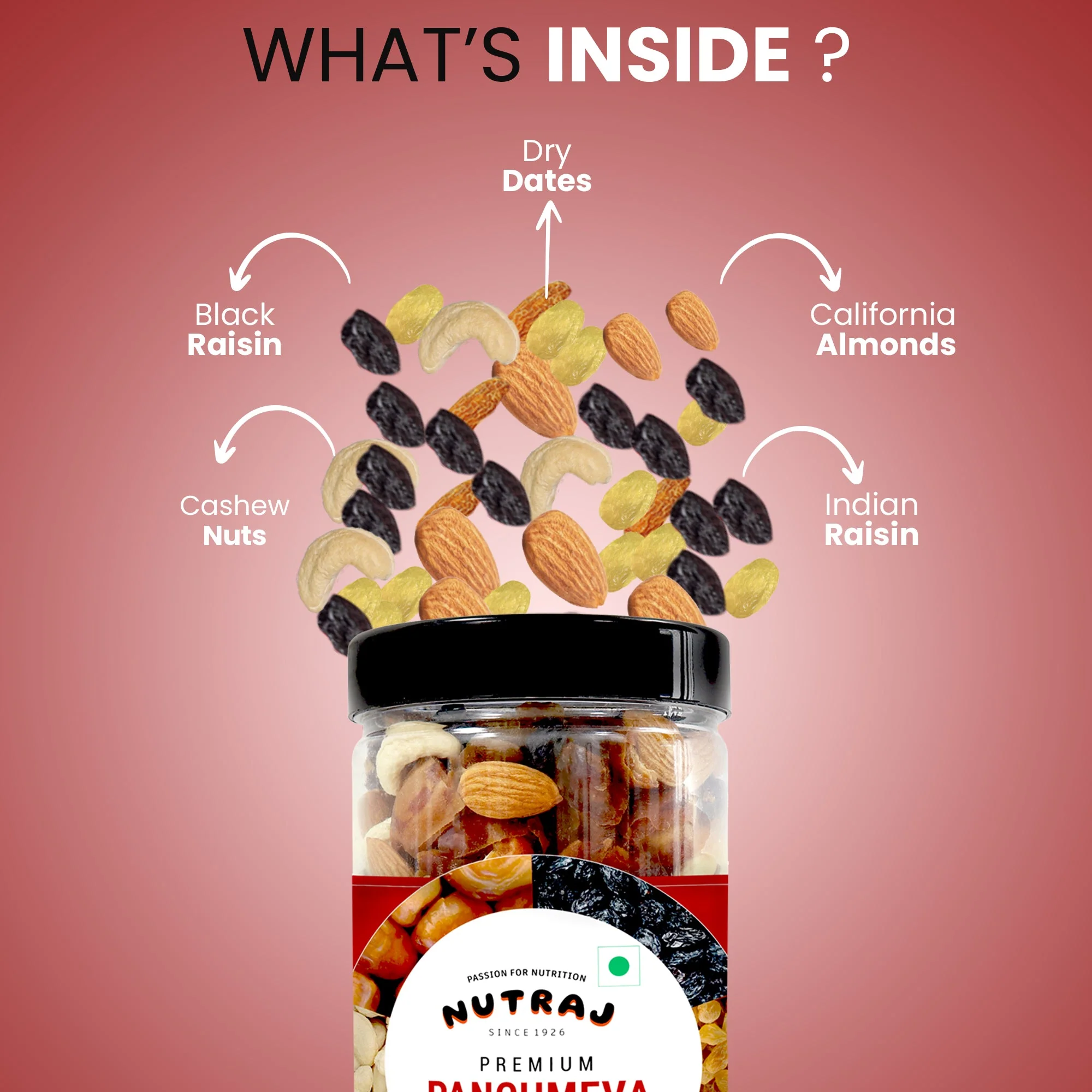 Nutraj Panchmeva Jar 500g Premium Healthy Dry Fruits Mix - Image 4