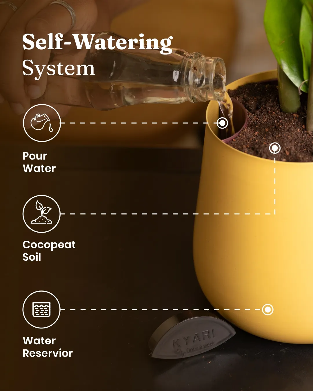 Peace Lily Plant With Self Watering Pot_ - Image 57