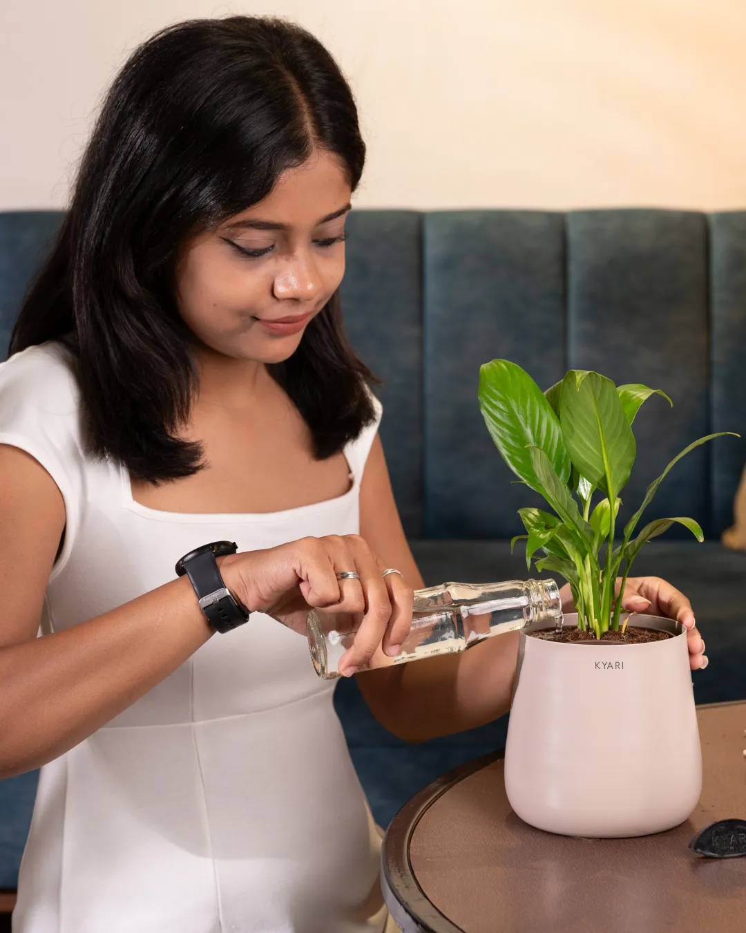Peace Lily Plant With Self Watering Pot_ - Image 62